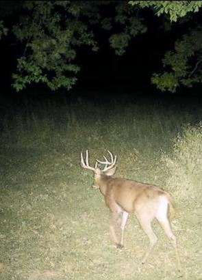 Muscoda, Wisconsin, 53573, United States, 3 Bedrooms Bedrooms, ,3 BathroomsBathrooms,Residential,For Sale,1990387