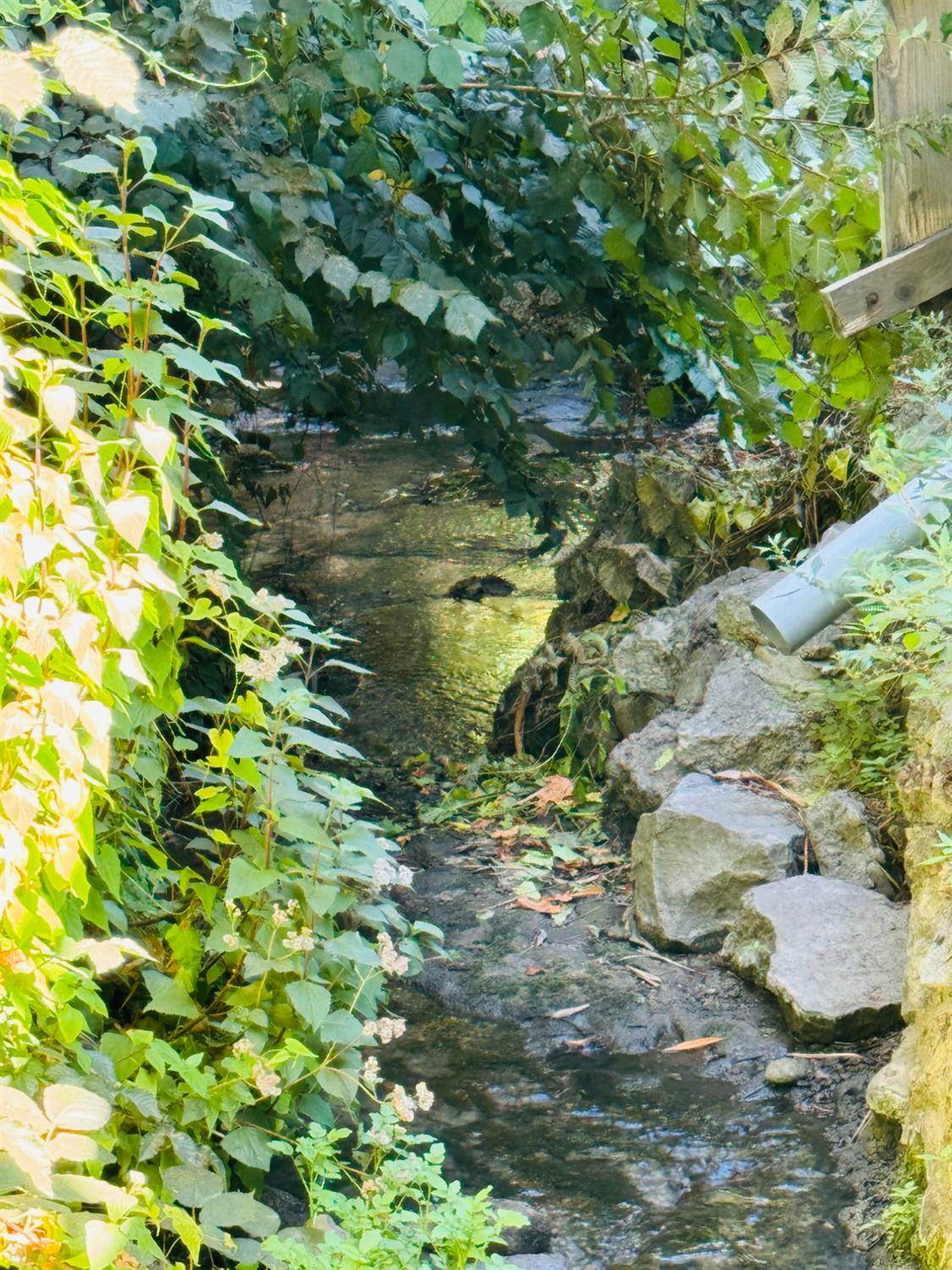 Santa Cruz, California, 95060, United States, 3 Bedrooms Bedrooms, ,2 BathroomsBathrooms,Residential,For Sale,2001181