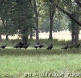 Mounds, Oklahoma, 74047, United States, 4 Bedrooms Bedrooms, ,6 BathroomsBathrooms,Residential,For Sale,1960960