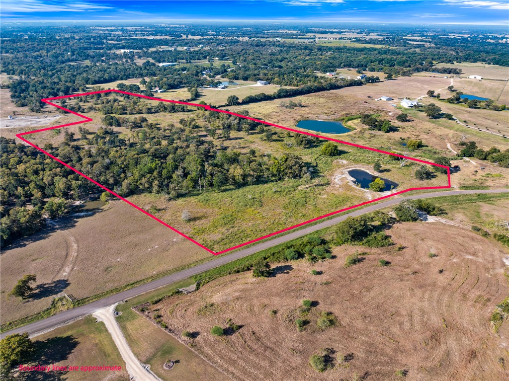 Anderson, Texas, 77830, United States, ,Land,For Sale,1983245