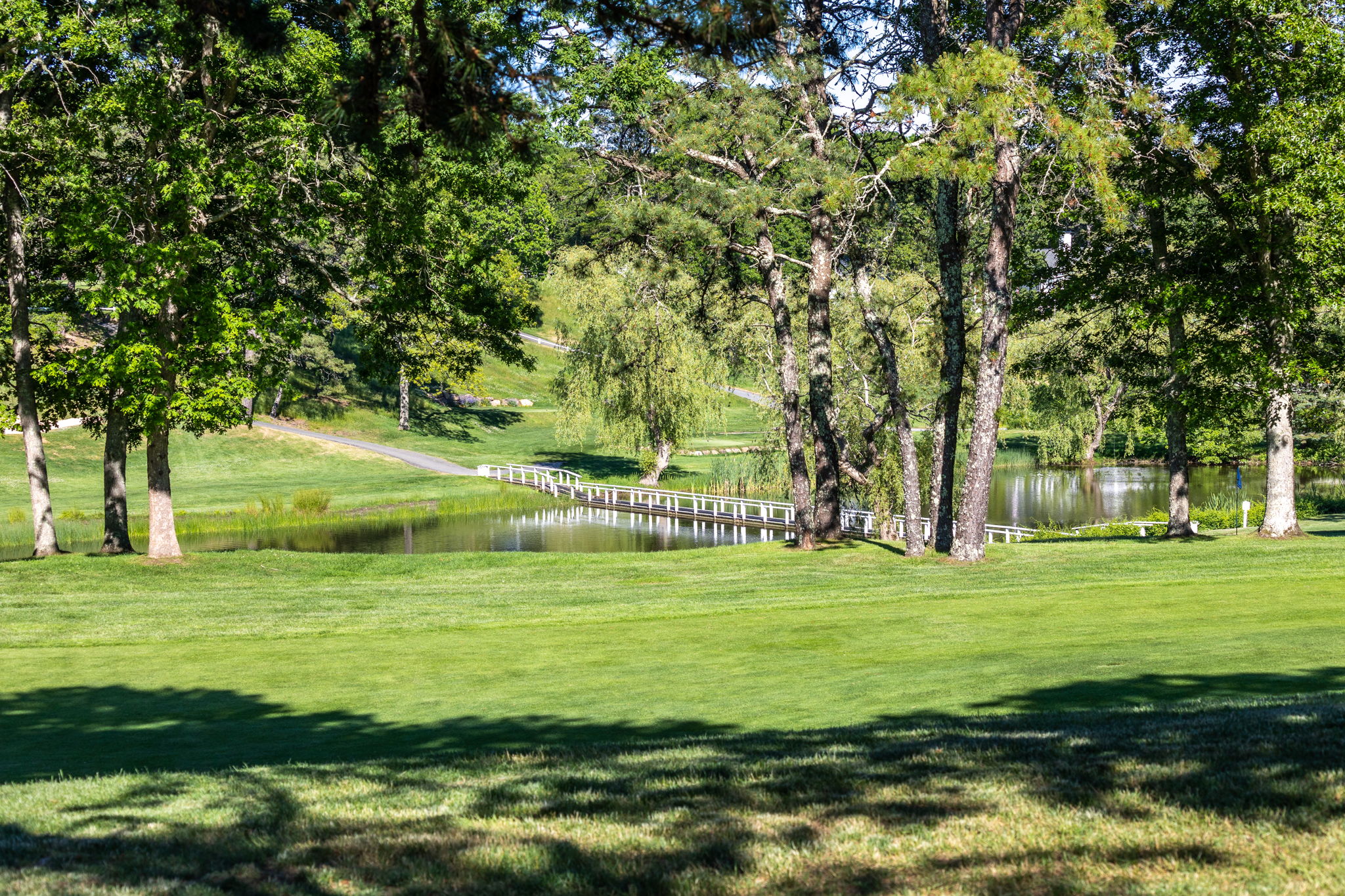  55 Out Of Bounds, Yarmouth, MA, 02664 - 物件實景