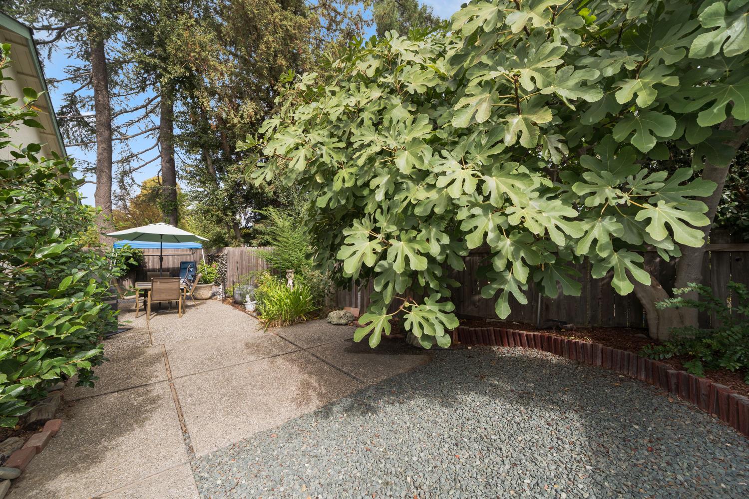 Orangevale, California, 95662, United States, 4 Bedrooms Bedrooms, ,2 BathroomsBathrooms,Residential,For Sale,1989323