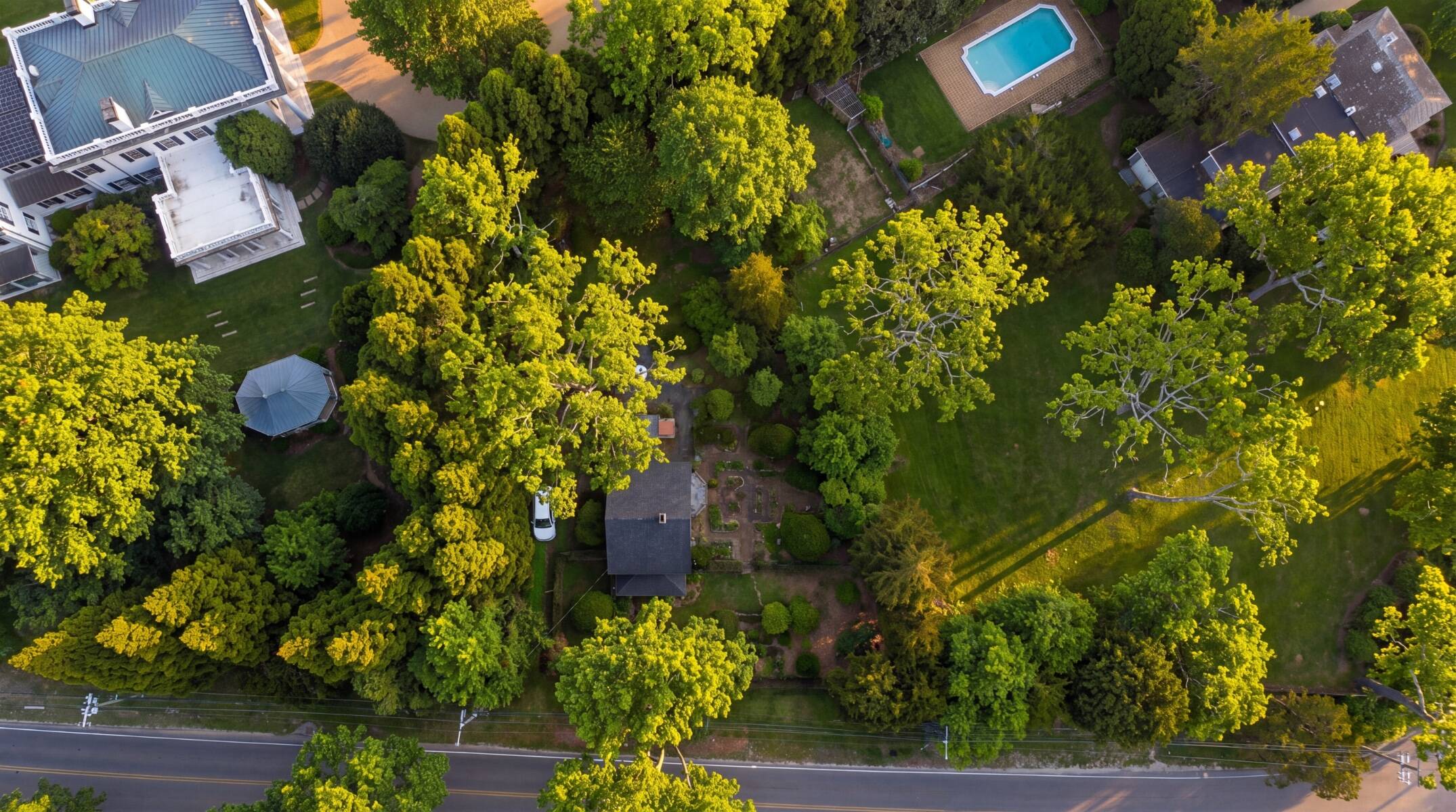  WAINSCOTT  ESTATE OPPORTUNITY - 物件實景