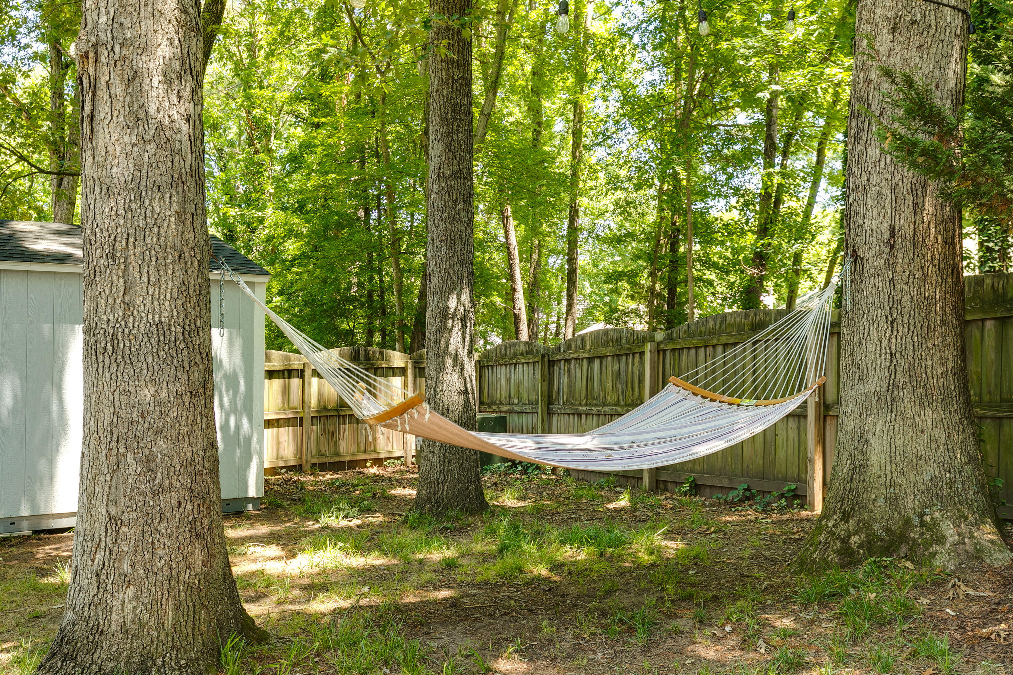  1903 Shady Branch Trail, Richmond, VA 23238 - 物件實景
