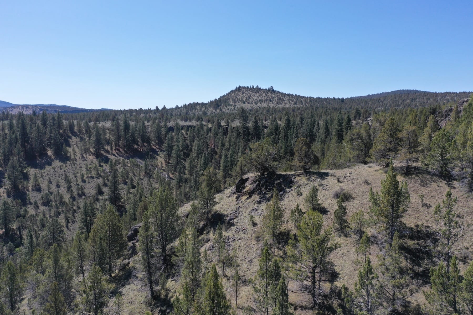  16305 N East Ochoco Highway Prineville, OR 97754 - 物件實景