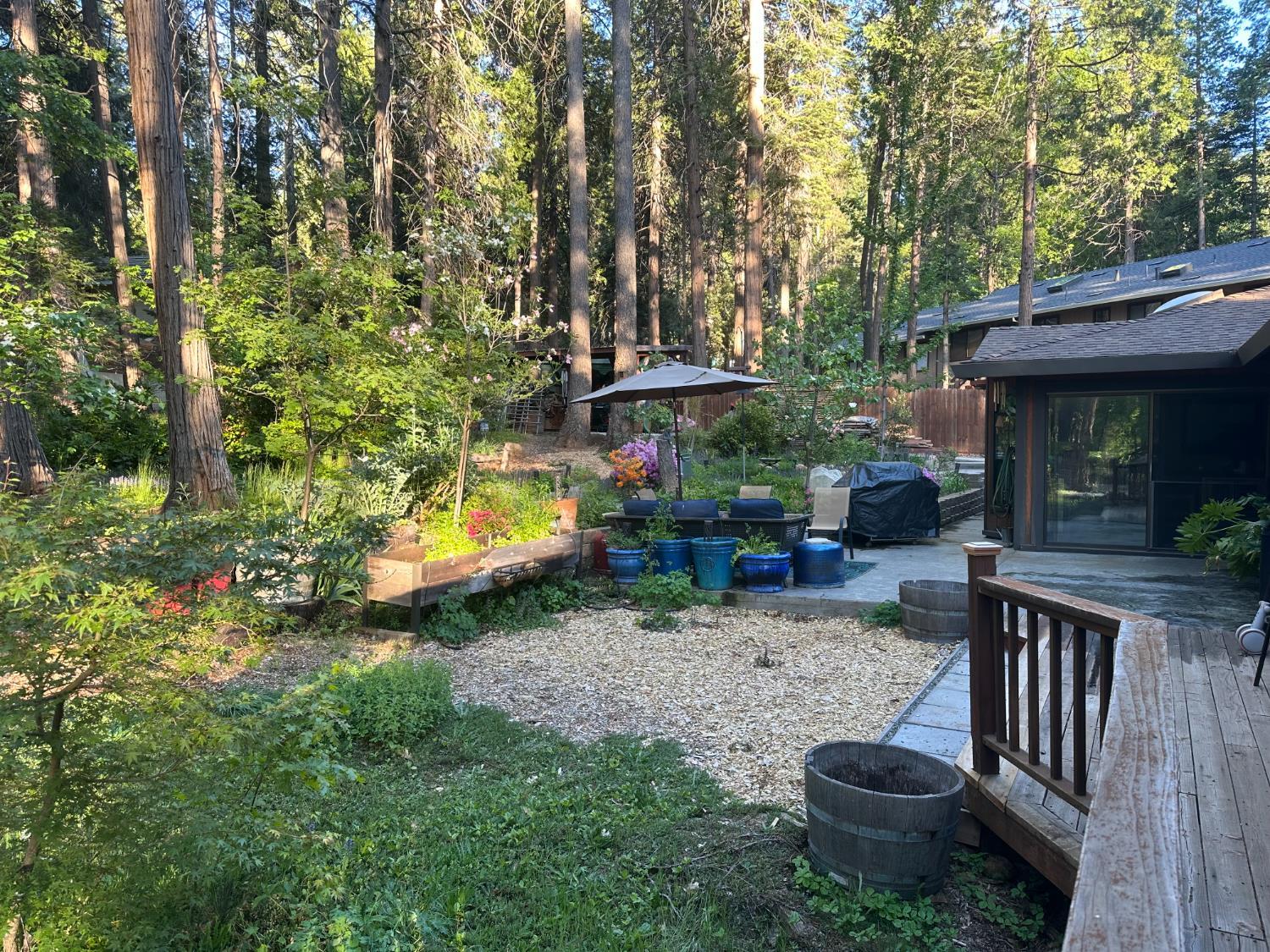 Nevada City, California, 95959, United States, 3 Bedrooms Bedrooms, ,3 BathroomsBathrooms,Residential,For Sale,1945021