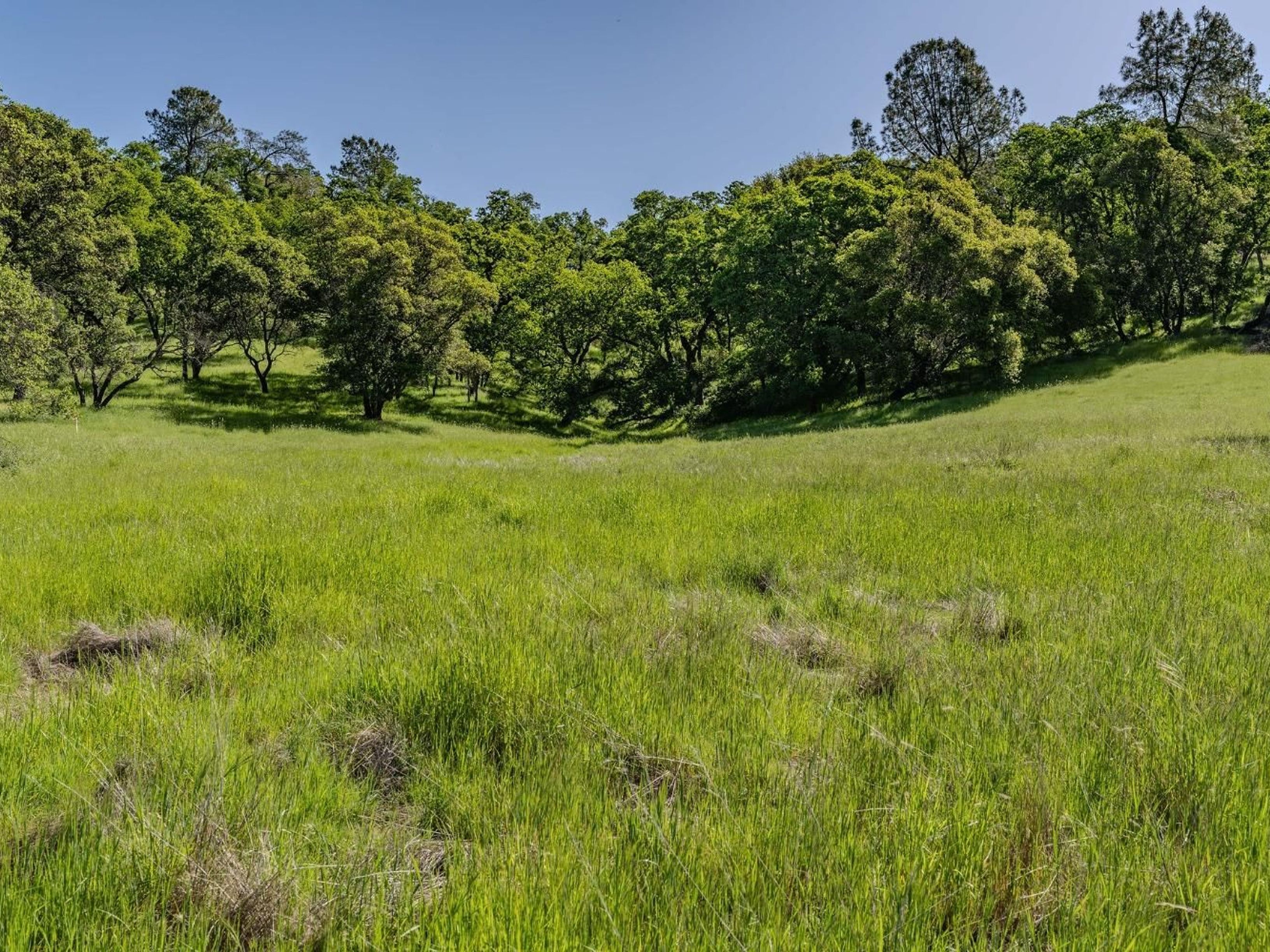  10865 Sunset Drive, Sutter Creek, CA 95685 - 物件實景