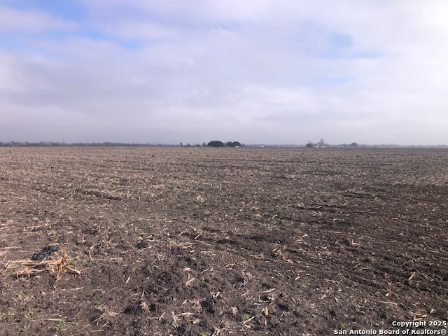 Seguin, Texas, 78155, United States, ,Land,For Sale,1981950