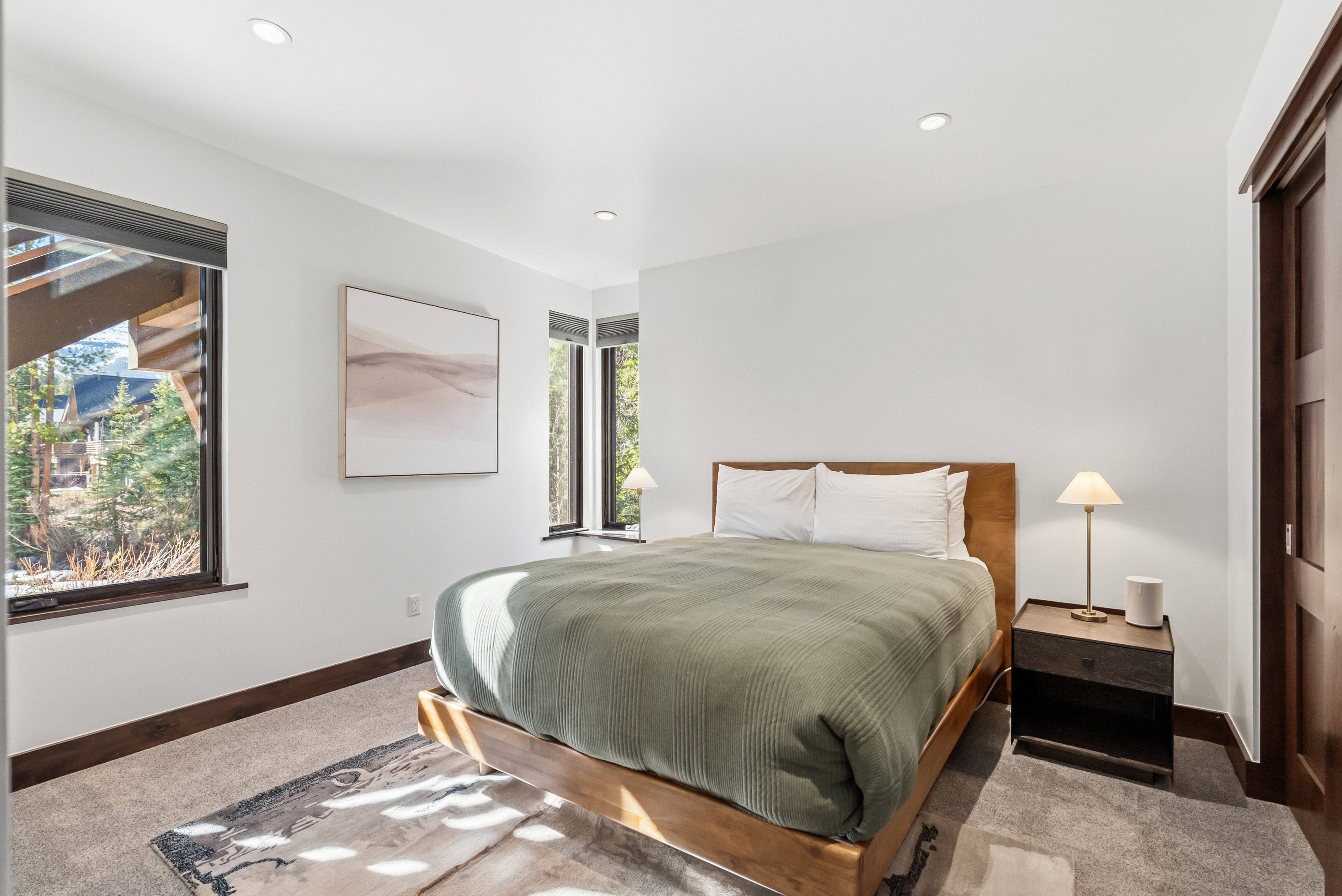  341 River Park Drive, Breckenridge, CO, 80424 - 物件實景