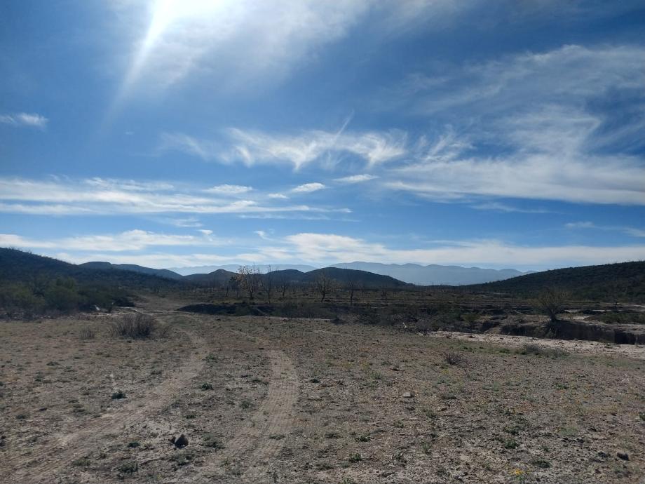KM 3 CARRETERA PARRAS A GENERAL CEPEDA, Parras, Coahuila de Zaragoza, 27987, Mexico, 1 Bedroom Bedrooms, ,Residential,For Sale,KM 3 CARRETERA PARRAS A GENERAL CEPEDA,1472261