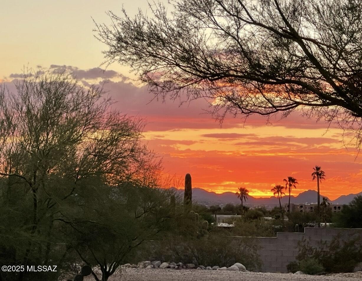 Tucson, Arizona, 85704, United States, 3 Bedrooms Bedrooms, ,2 BathroomsBathrooms,Residential,For Sale,1885622