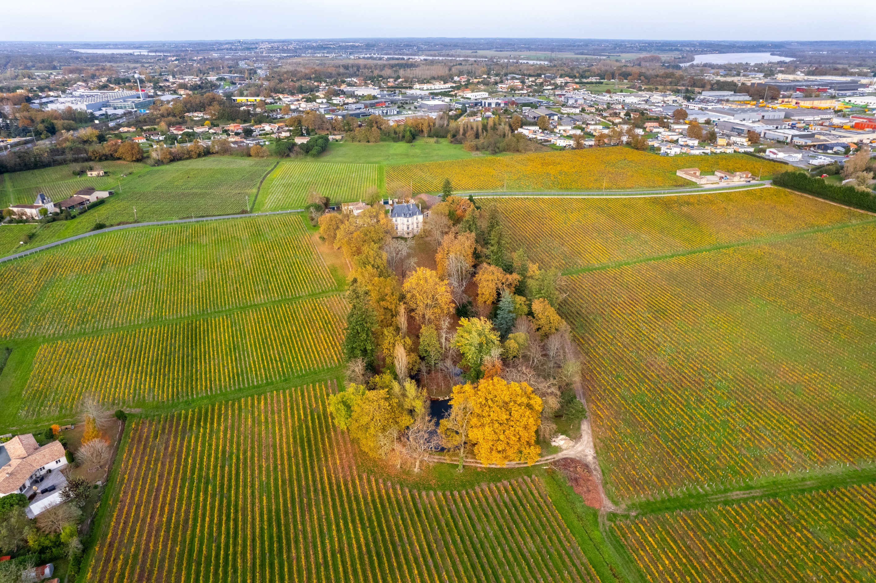  EXCLUSIVE - RARE - CHATEAU & VINEYARDS ON THE OUTSKIRTS OF BORDEAUX - 物件實景