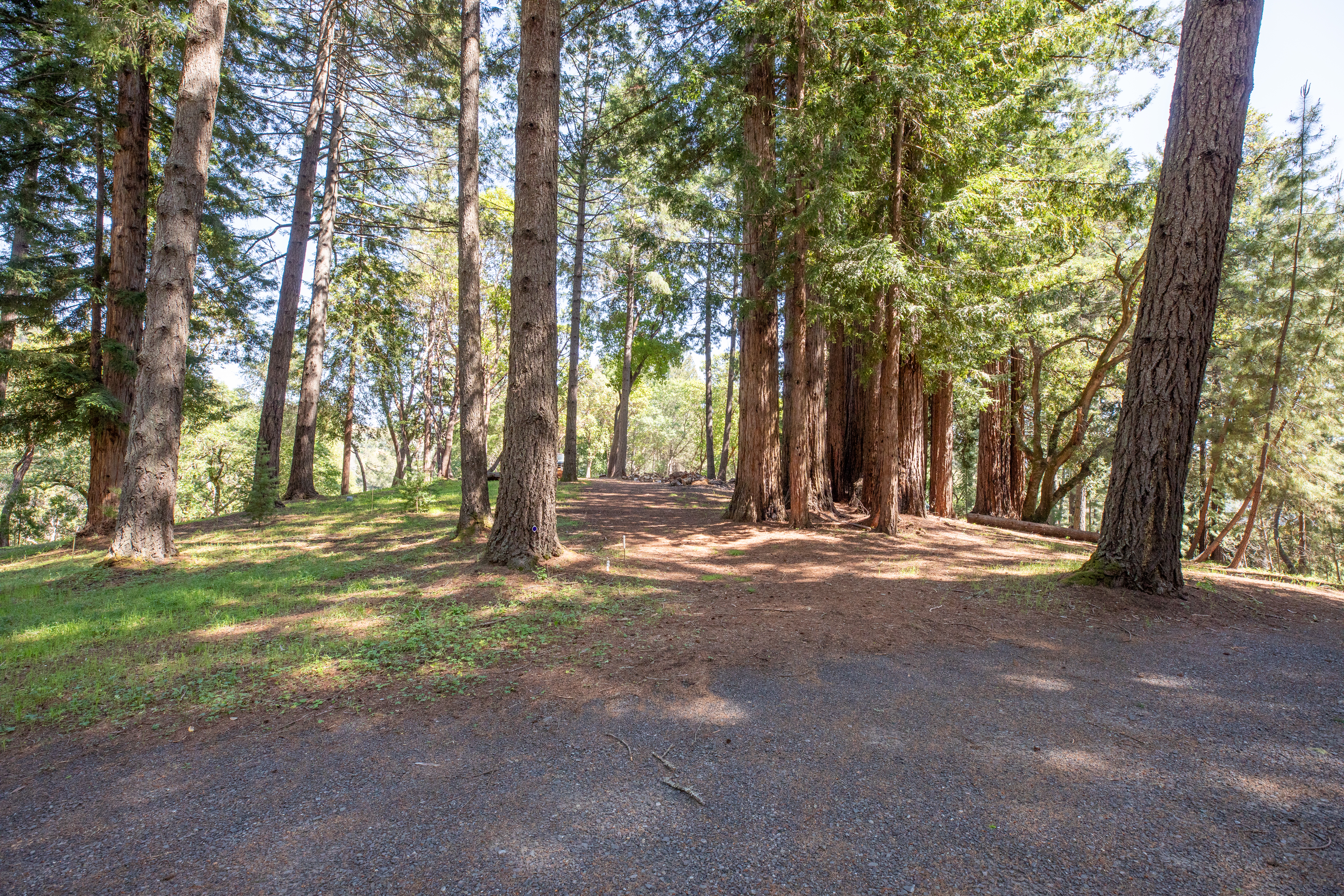  18900 Armstrong Woods Road, Guerneville, CA 95446 - 物件實景