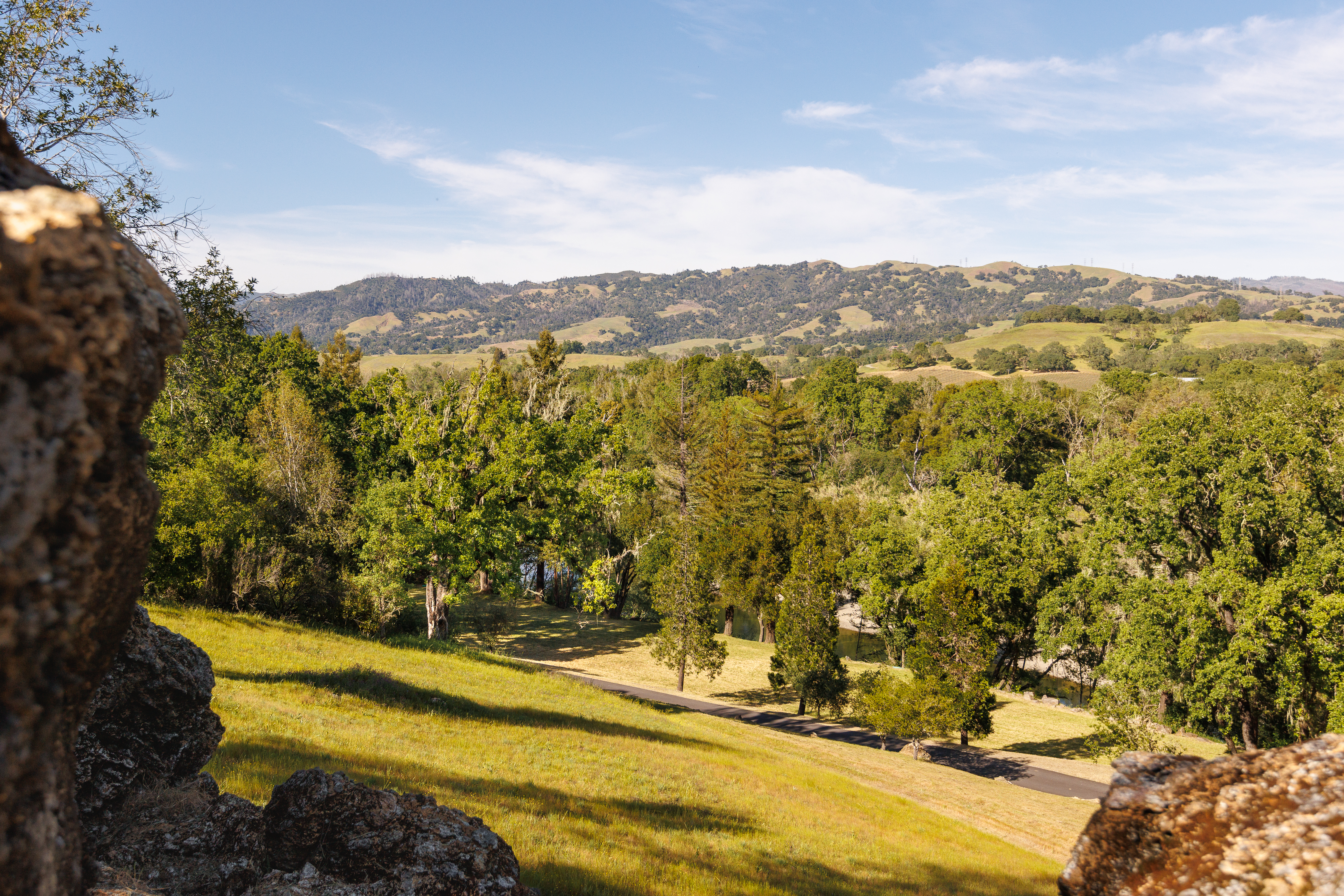  6225 West Soda Rock Lane, Healdsburg, CA 95448 - 物件實景