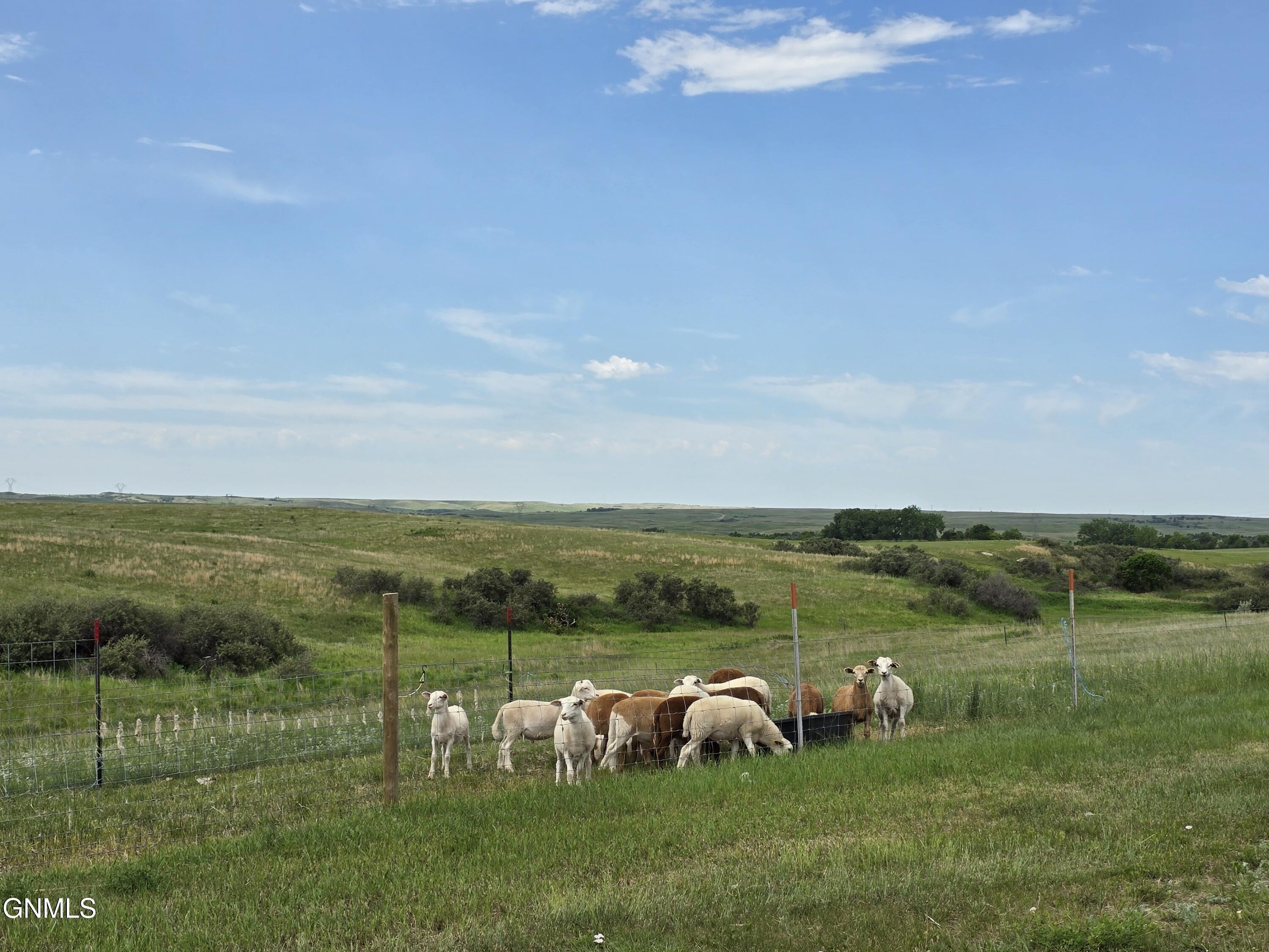 Zap, North Dakota, 58580, United States, 4 Bedrooms Bedrooms, ,1 BathroomBathrooms,Residential,For Sale,1937201