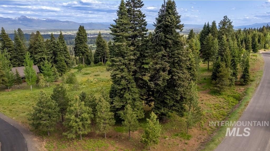 McCall, Idaho, 83638, United States, ,Land,For Sale,1983589