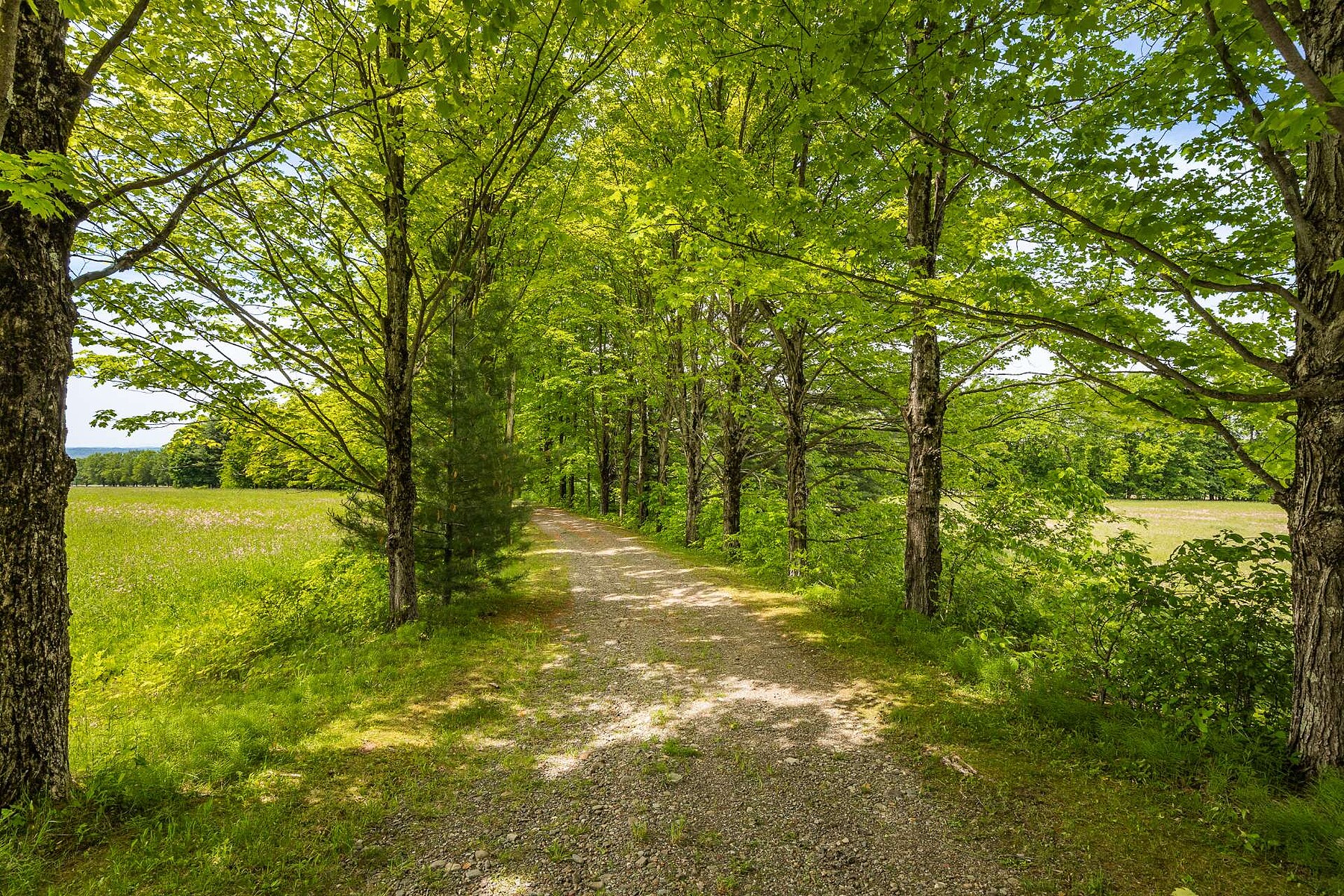  Dunham, Eastern Townships - 物件實景