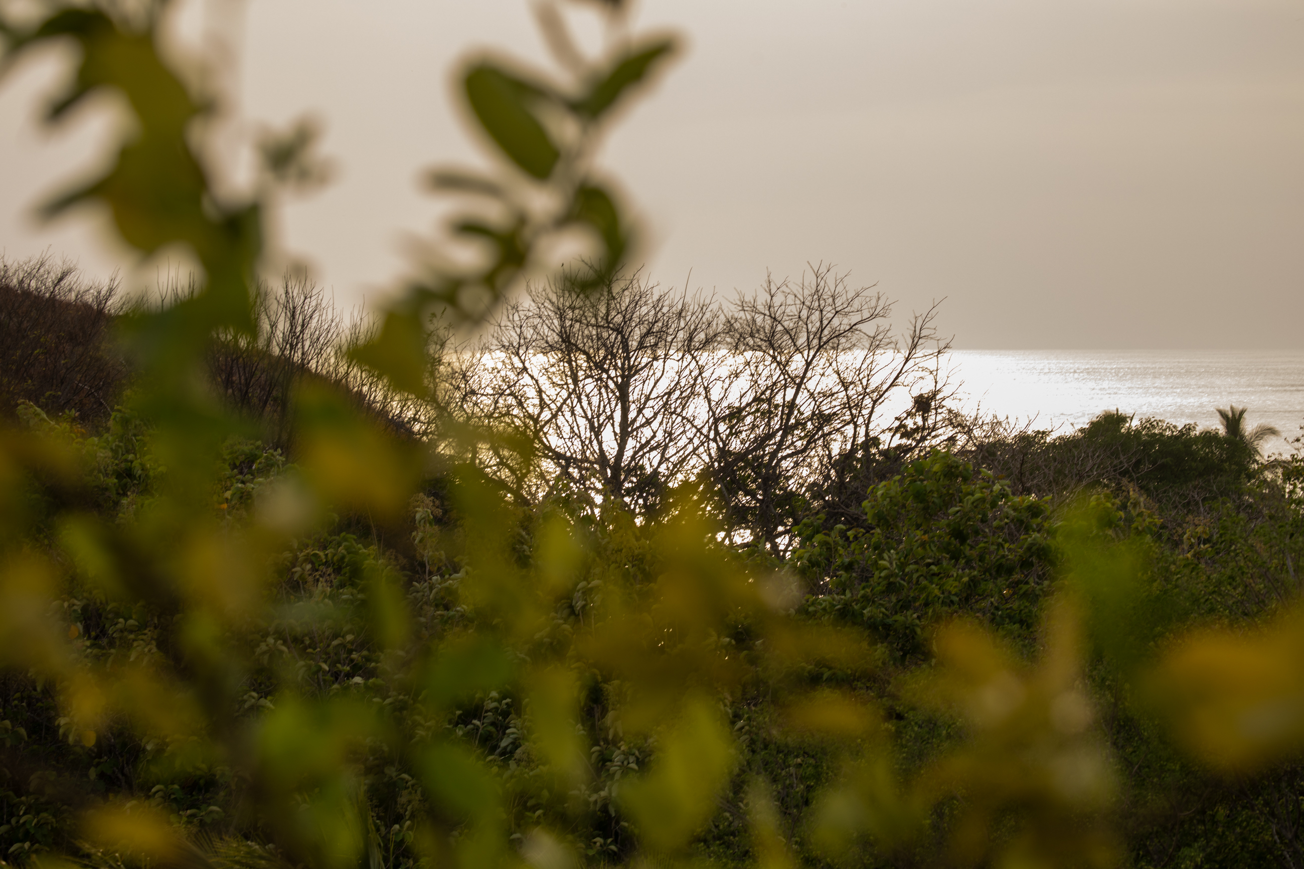 Nosara, Guanacaste, CR, 16 Bedrooms Bedrooms, ,9 BathroomsBathrooms,Residential,For Sale,1587974