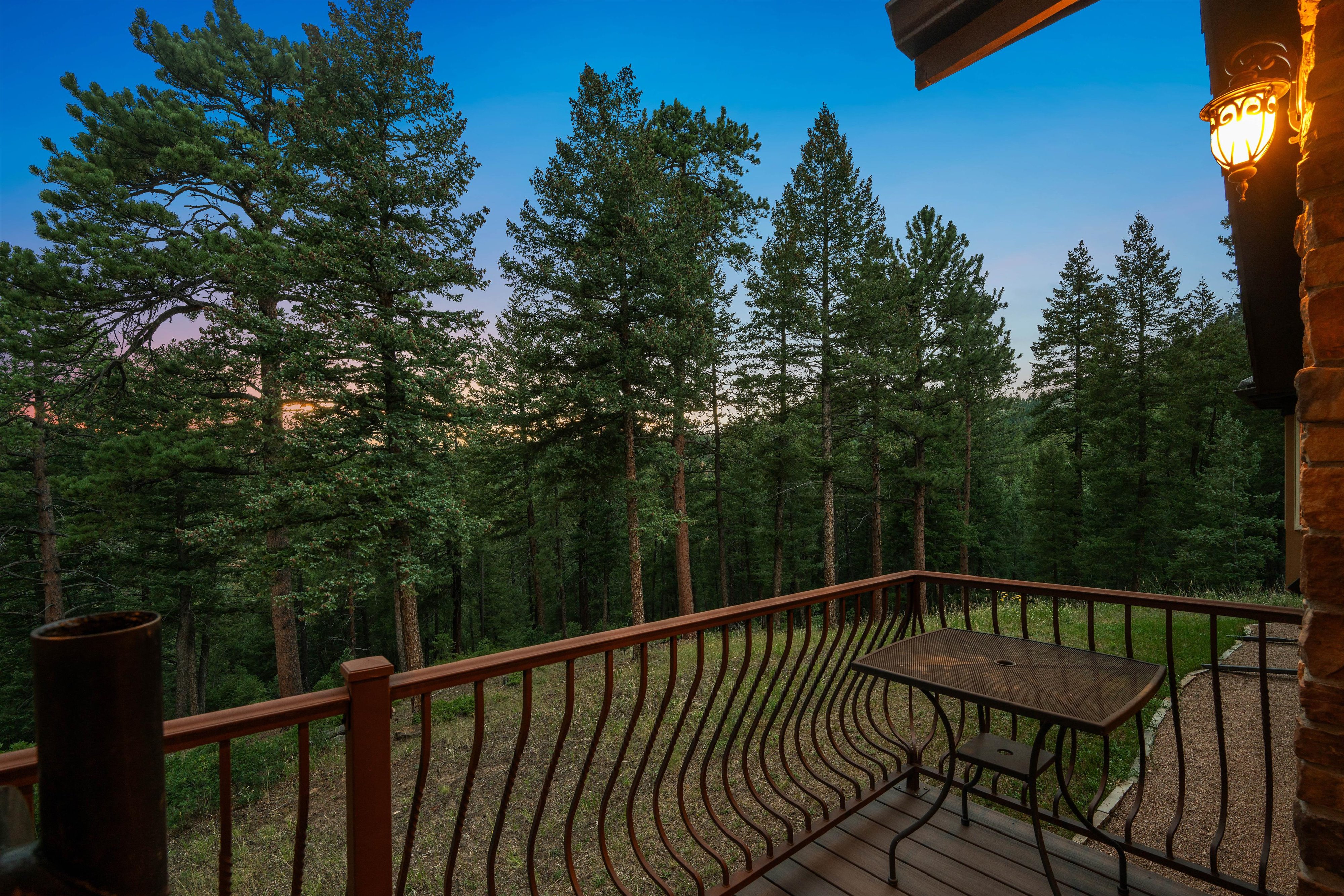  Extraordinary 20 Acre Mountain Estate Bordering Protected Wilderness - 物件實景