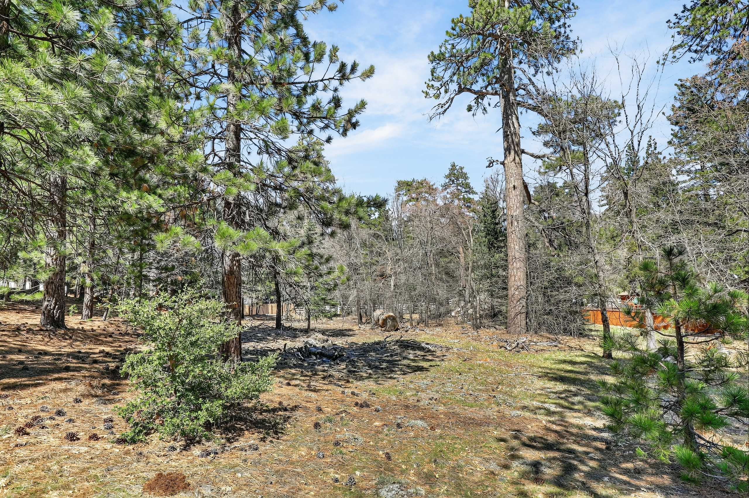  0 Cepu Rd, Running Springs , CA 92382 - 物件實景