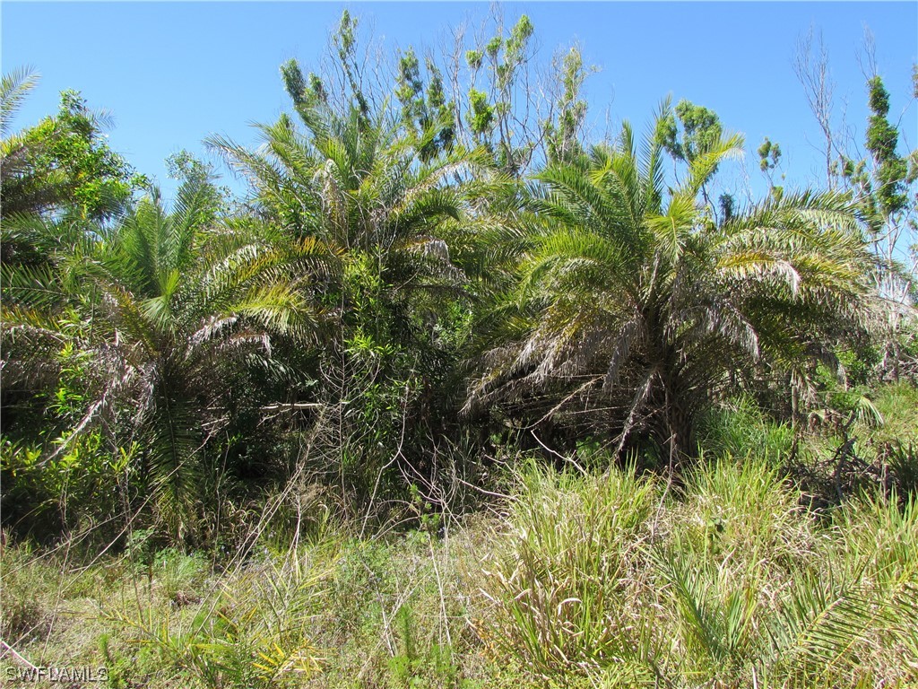 Bokeelia, Florida, 33922, United States, ,Residential,For Sale,1944902