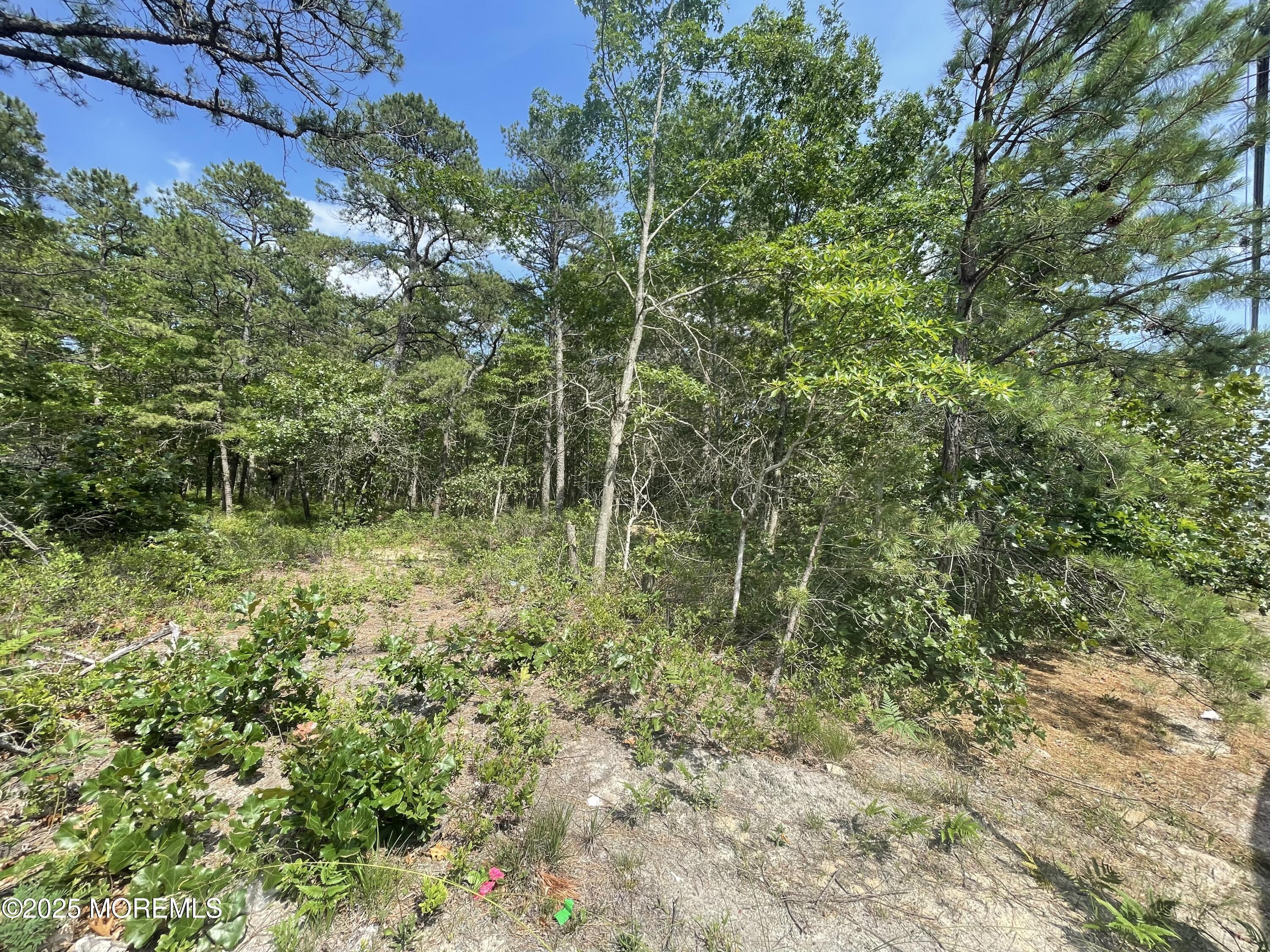 Little Egg Harbor, New Jersey, 08087, United States, ,Land,For Sale,1983965