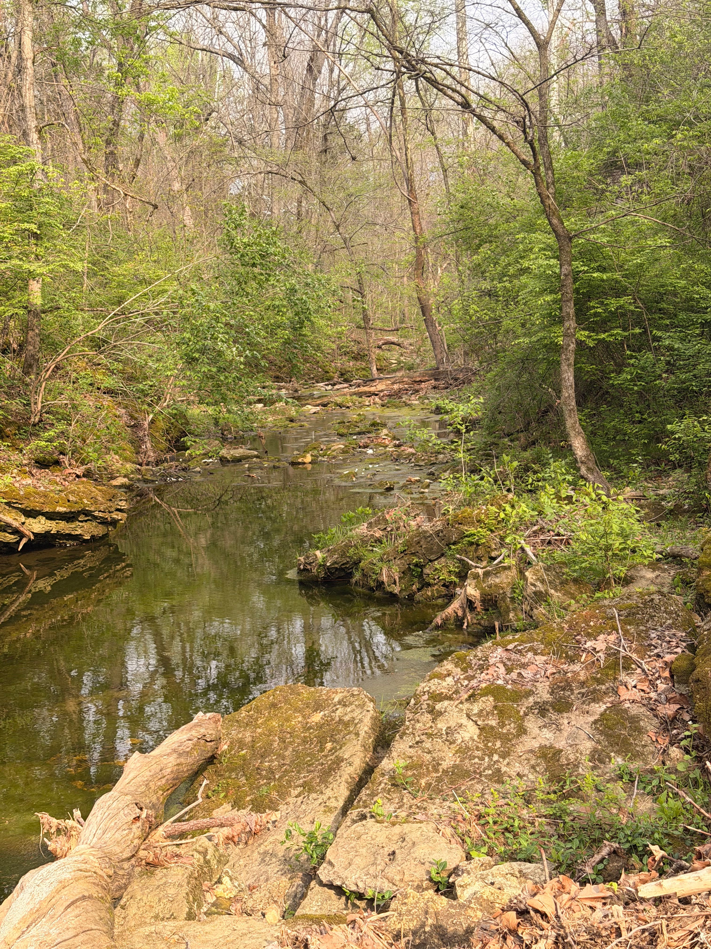  1574 Wales Run Road, Mount Washington, KY 40047 - 物件實景