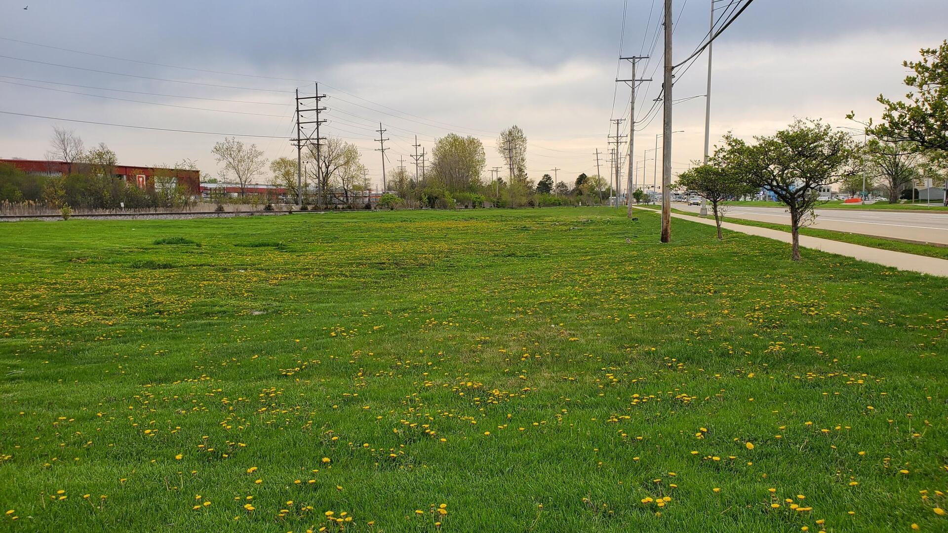 Villa Park, Illinois, 60181, United States, ,Land,For Sale,1975852