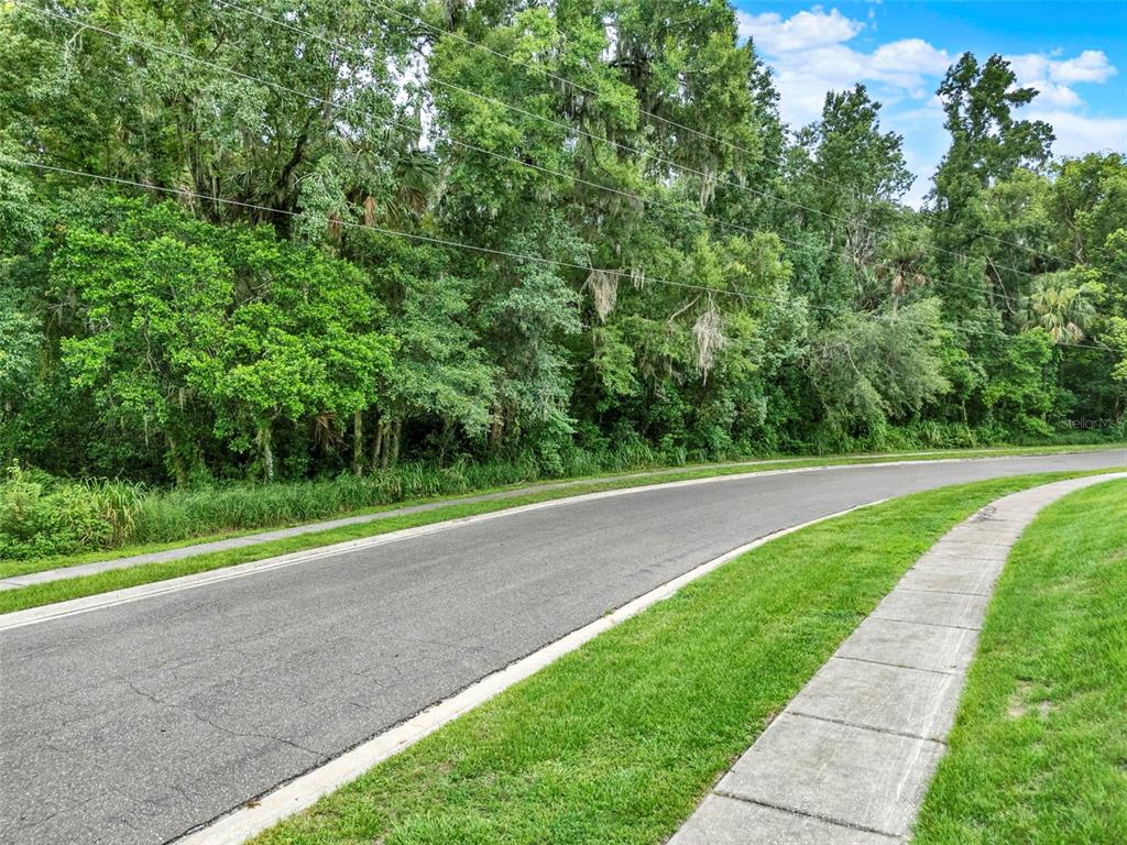 Apopka, Florida, 32712, United States, ,Land,For Sale,1891434