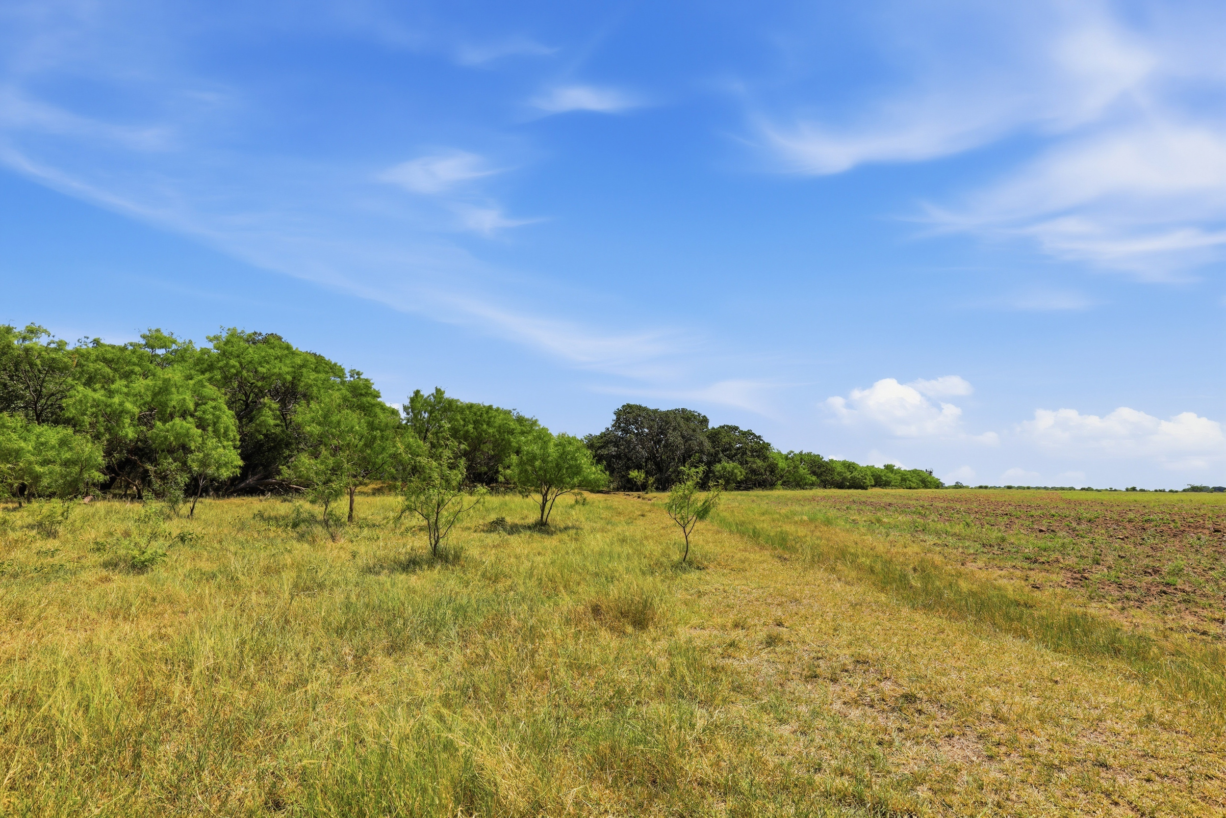  125 Acres of Texas Land for Recreation and Retreat - 物件實景