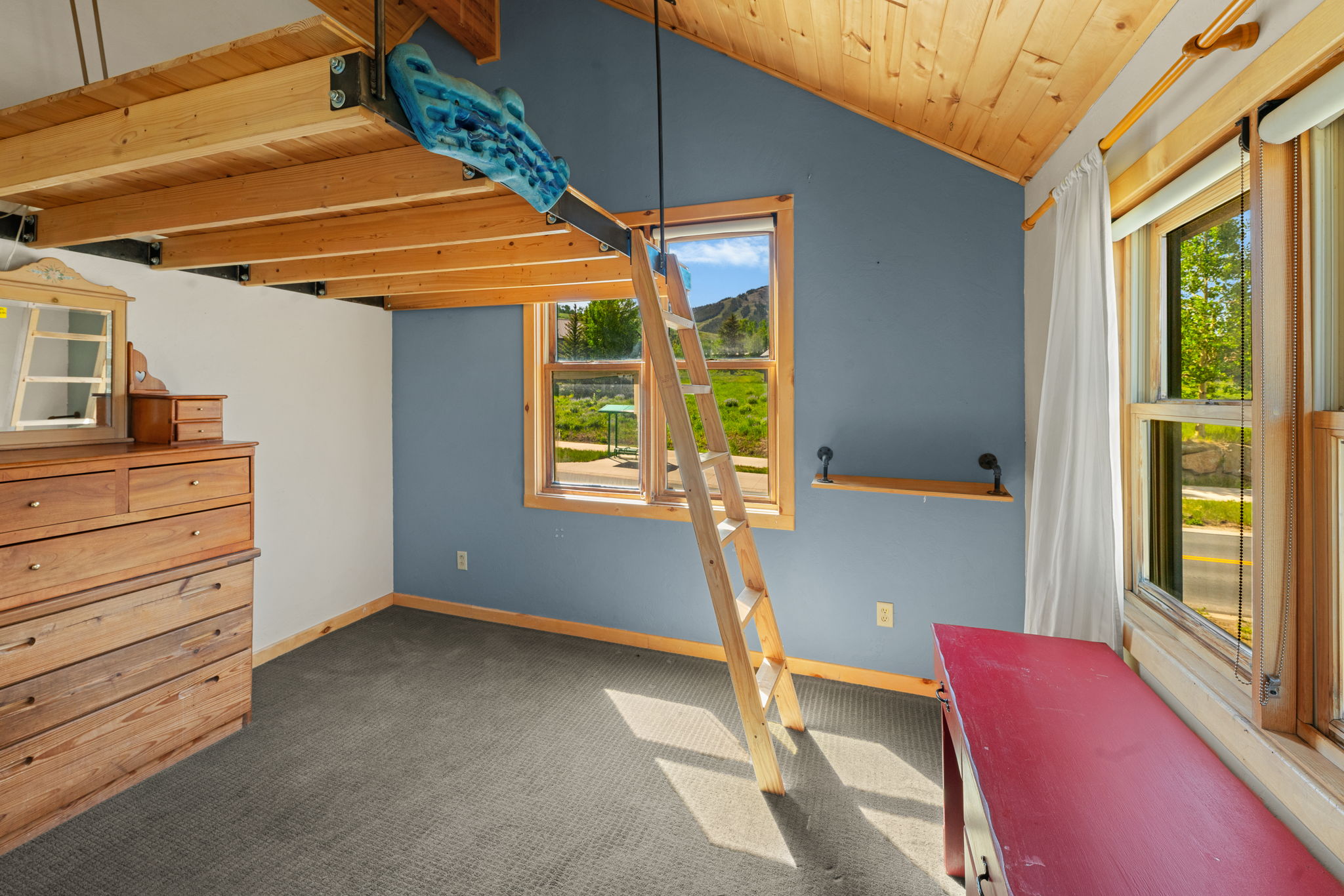  True Ski-Bum Home in the Heart of Crested Butte - 物件實景