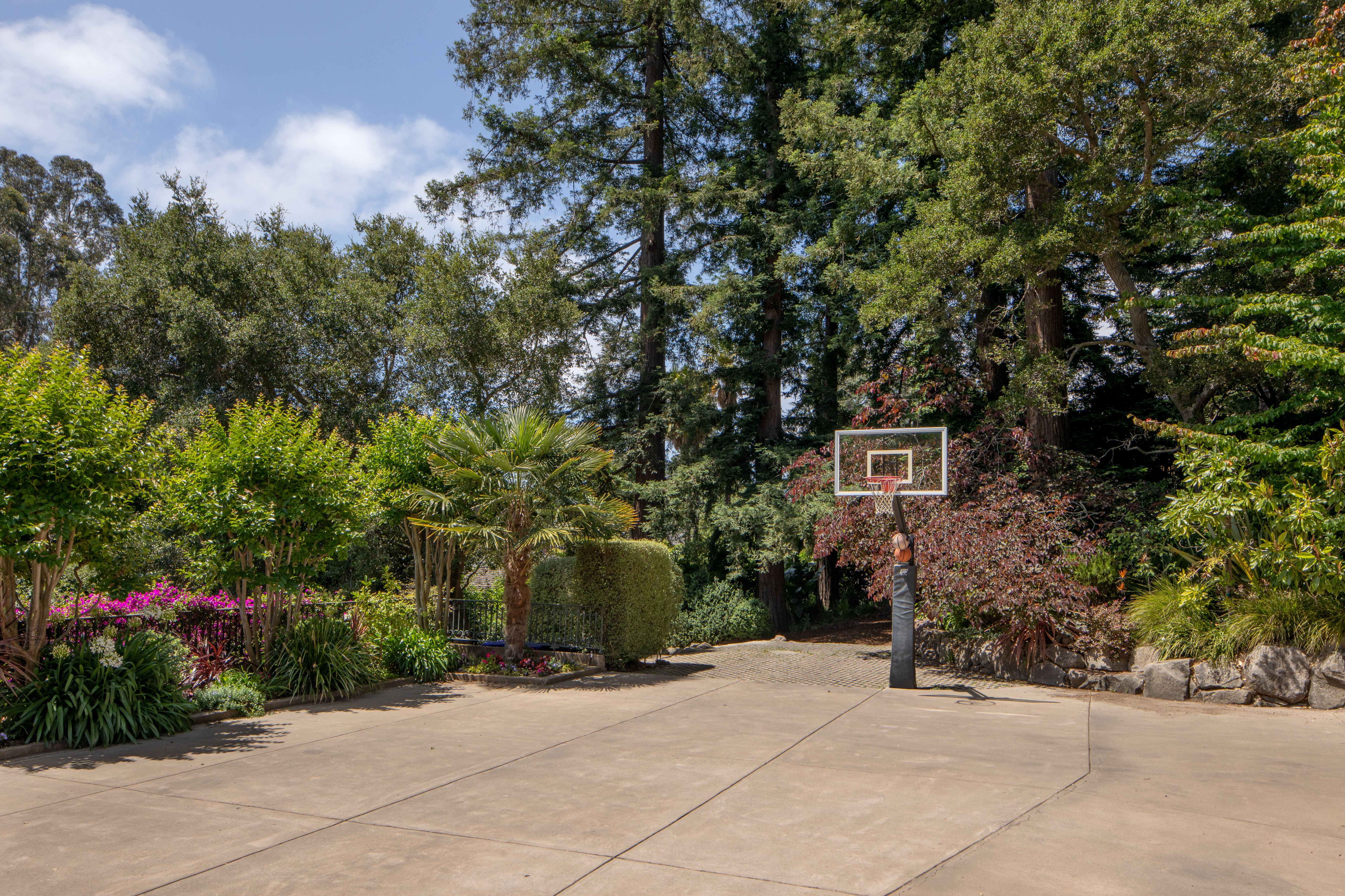  The Pinnacle of Piedmont: A Legacy Estate Without Peer - 物件實景