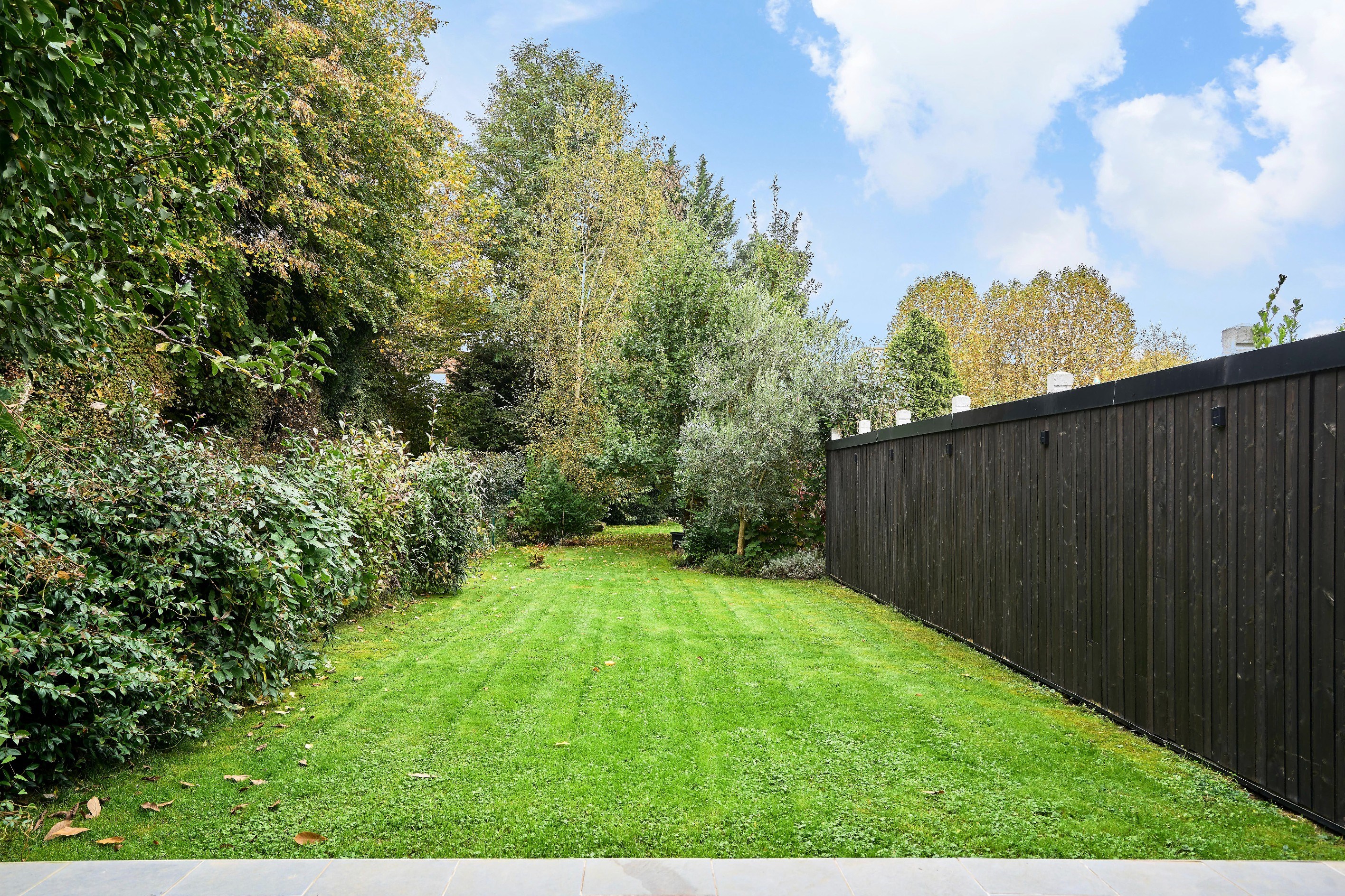  Maison - 物件實景