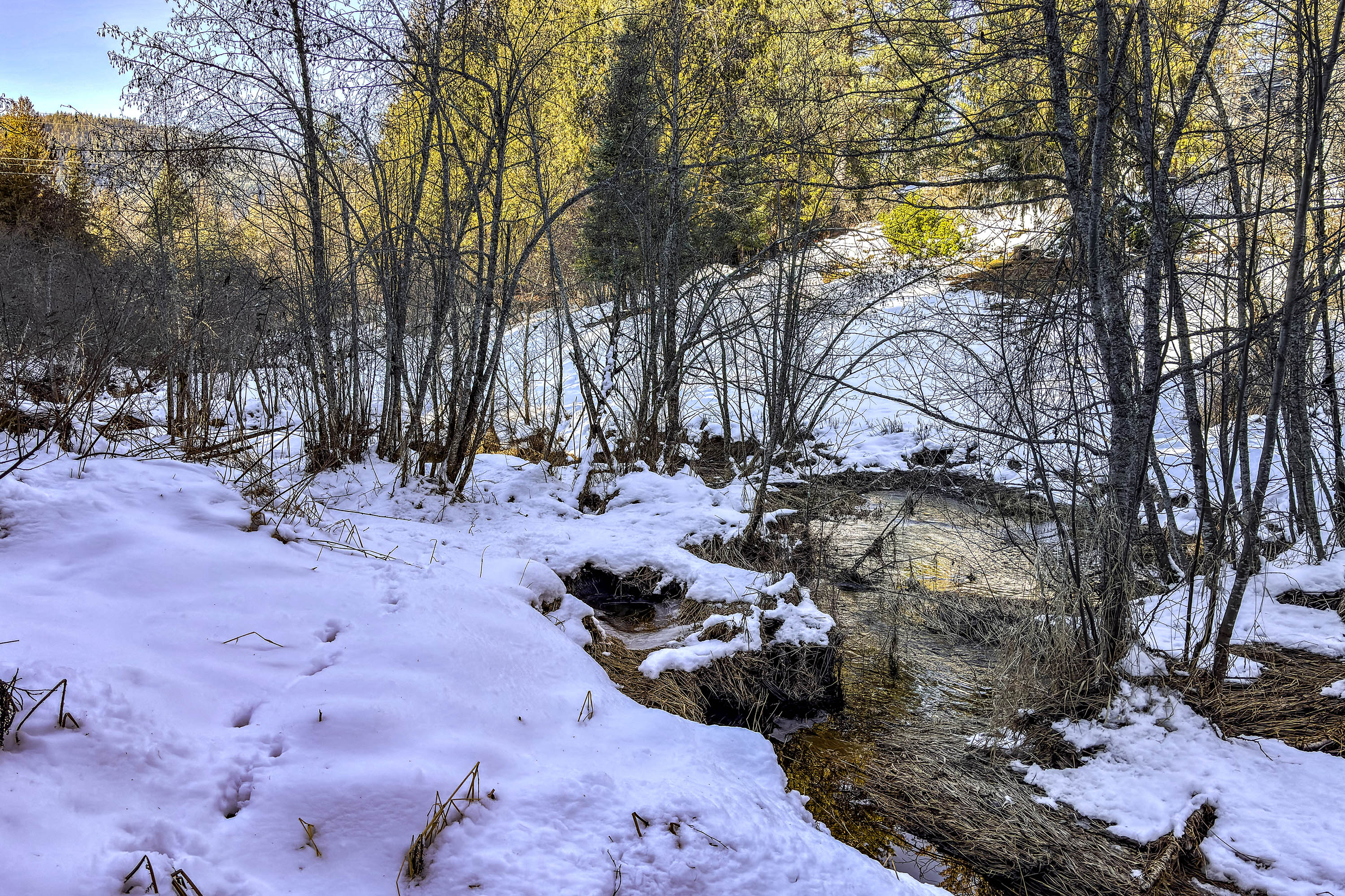 Sandpoint, Idaho, 83864, United States, 3 Bedrooms Bedrooms, ,2 BathroomsBathrooms,Residential,For Sale,2012104