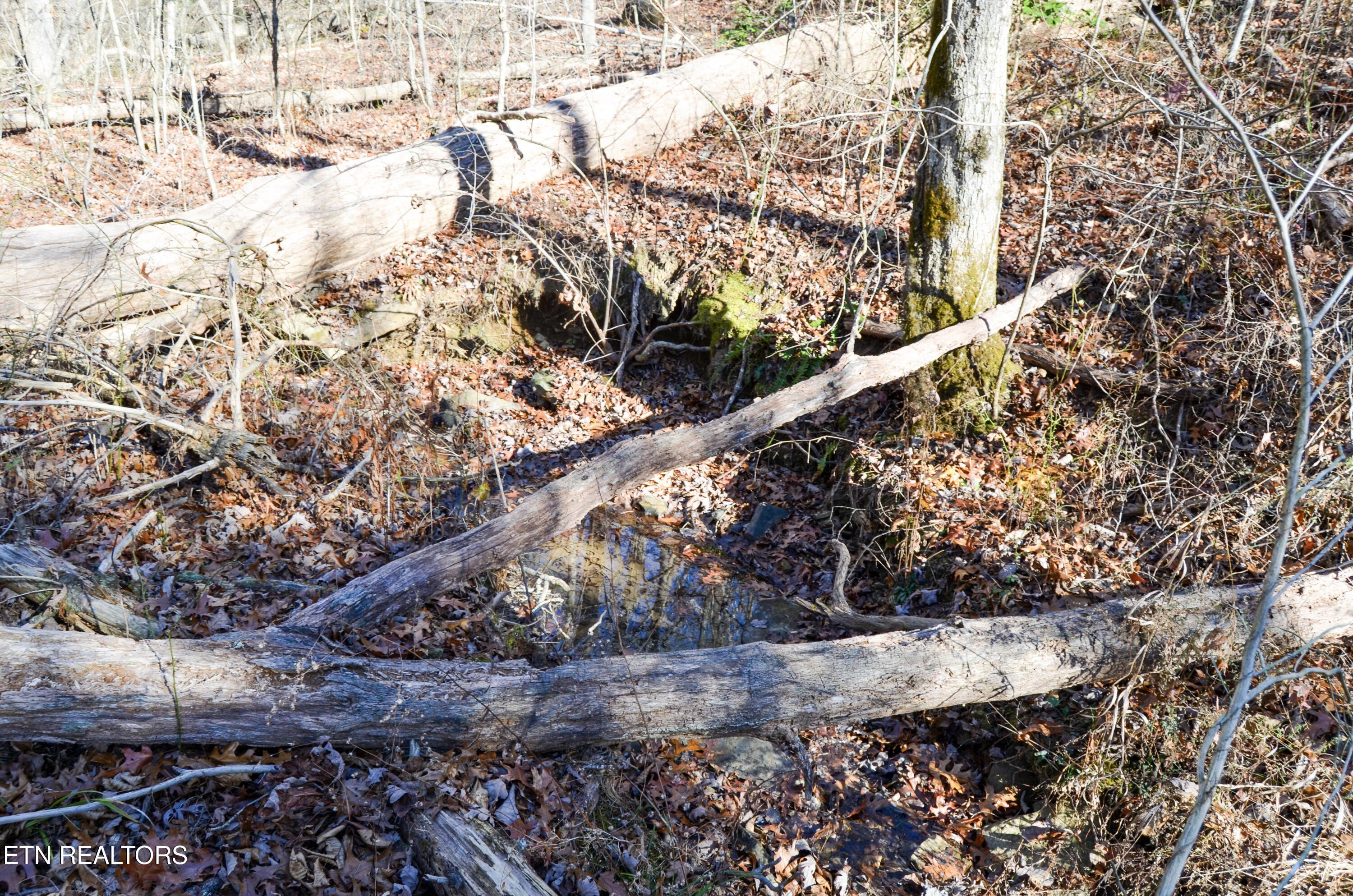 Crossville, Tennessee, 38555, United States, ,Land,For Sale,1978266