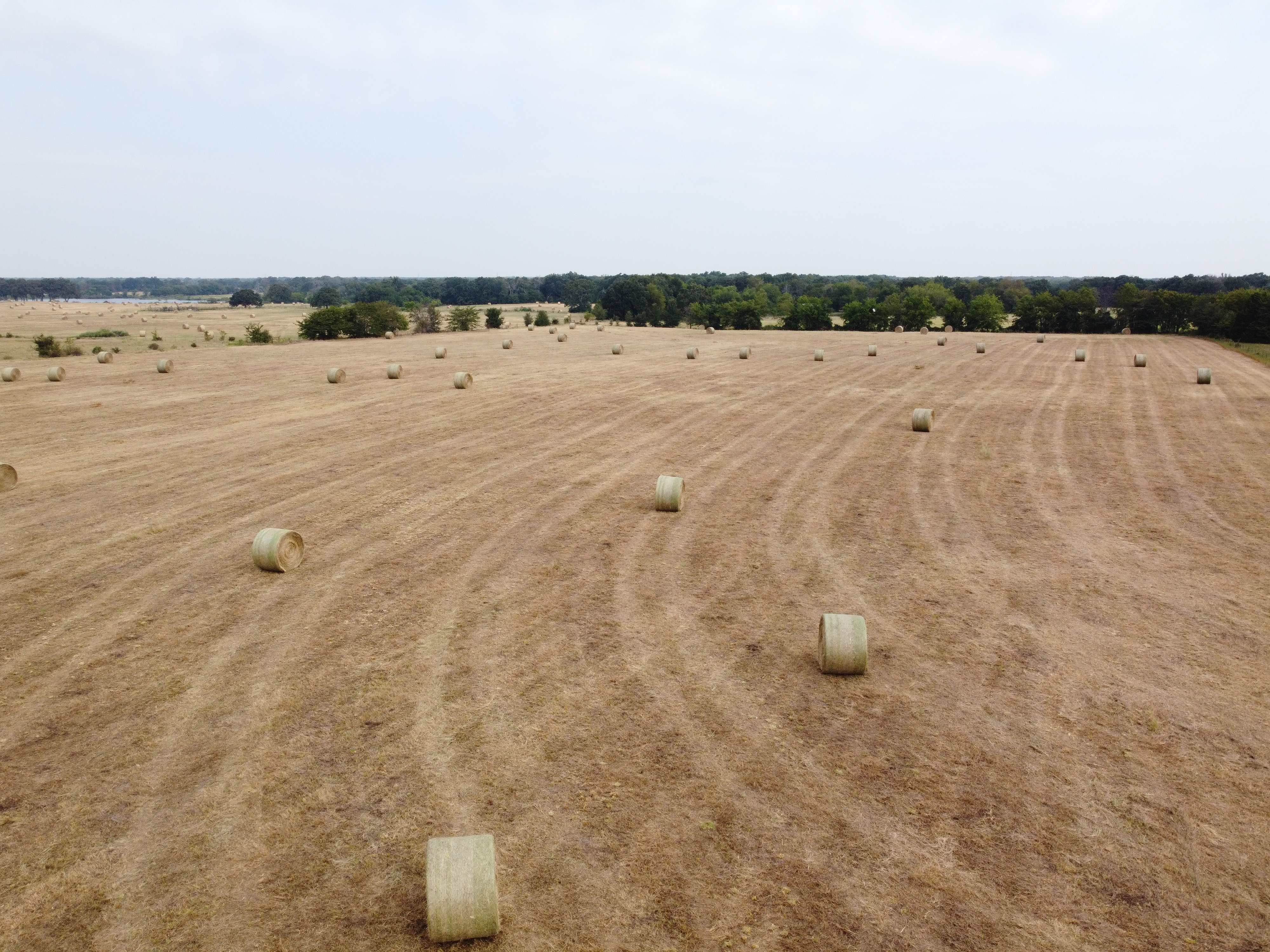 Cumby, Texas, 75433, United States, ,Land,For Sale,1987346