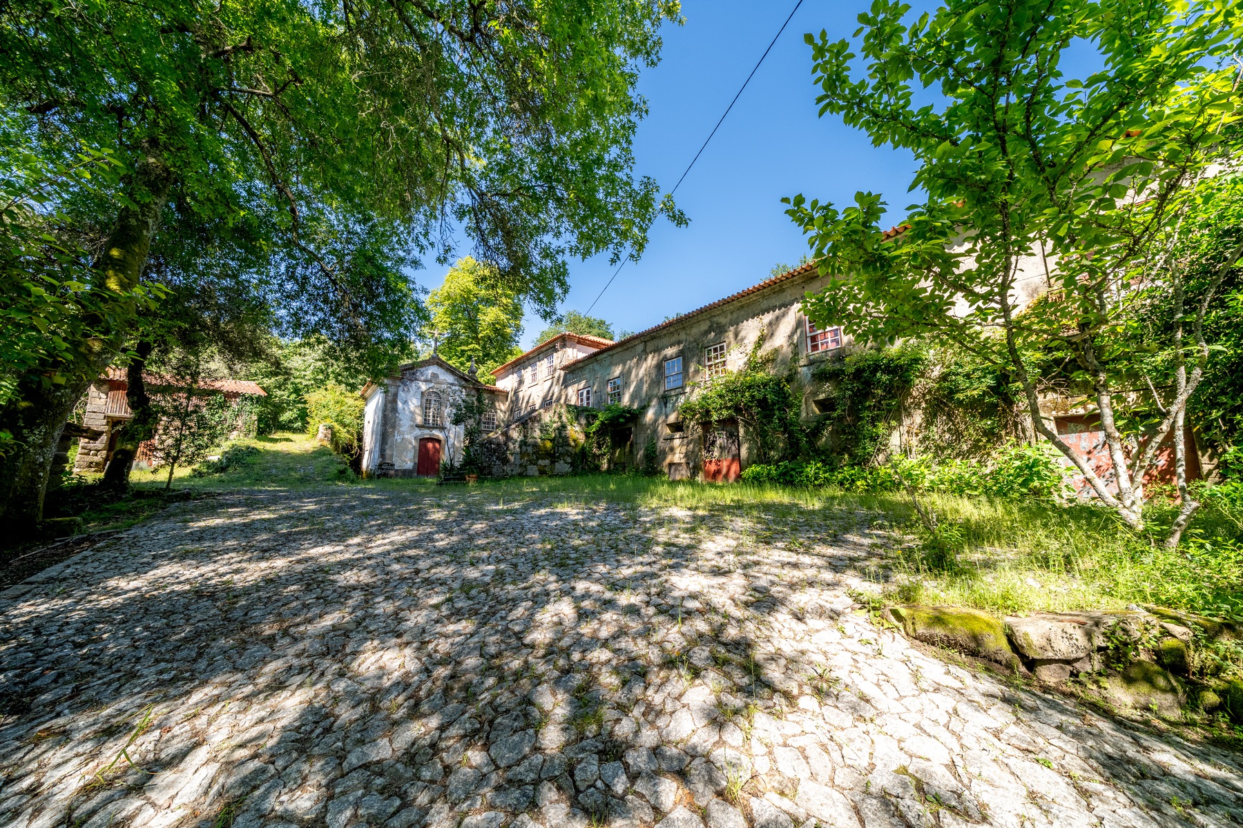  Farm for Sale - 物件實景