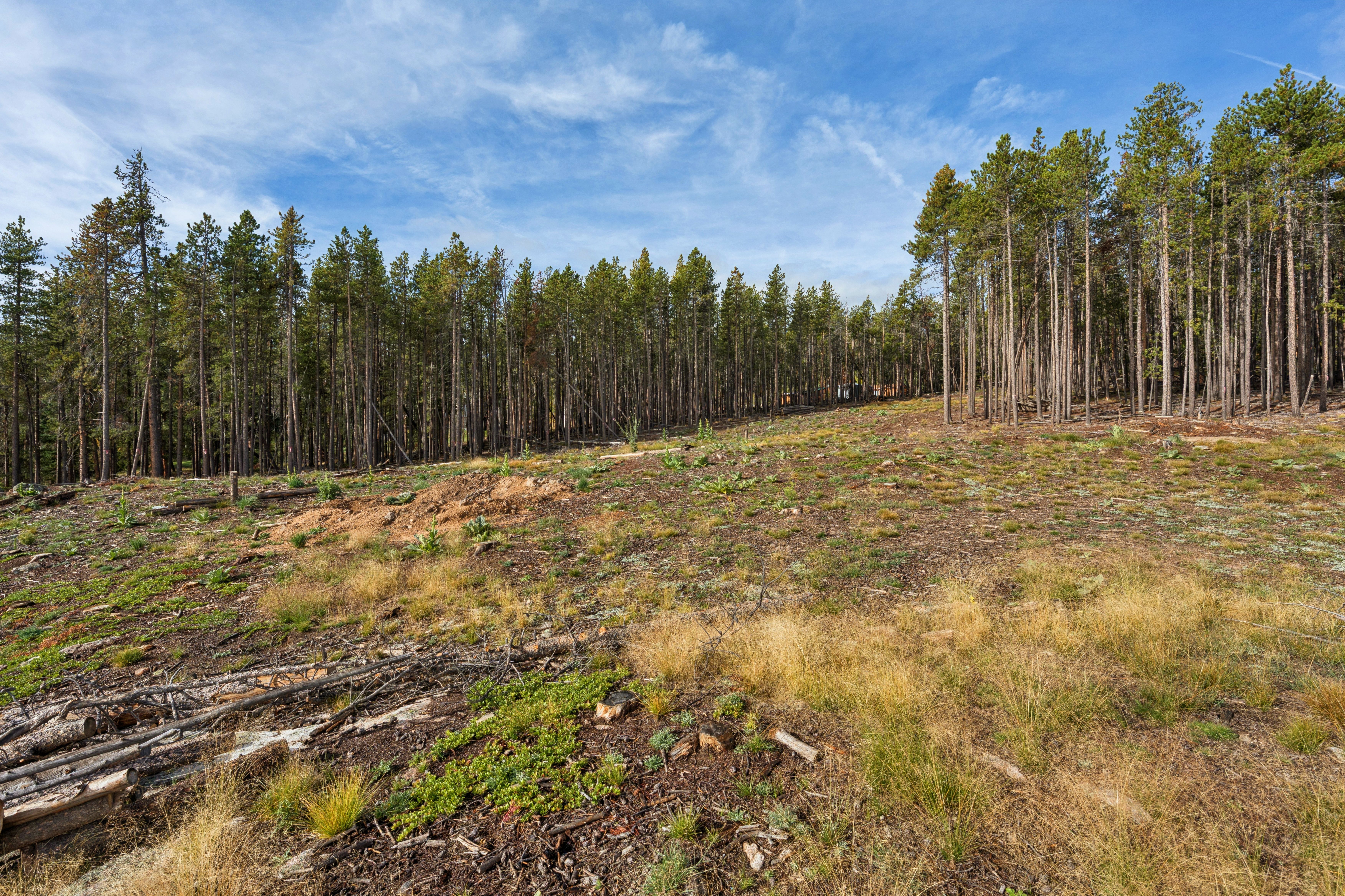  Opportunity to Build Your Foothills Dream Home with Over 7 Acres of Privacy - 物件實景