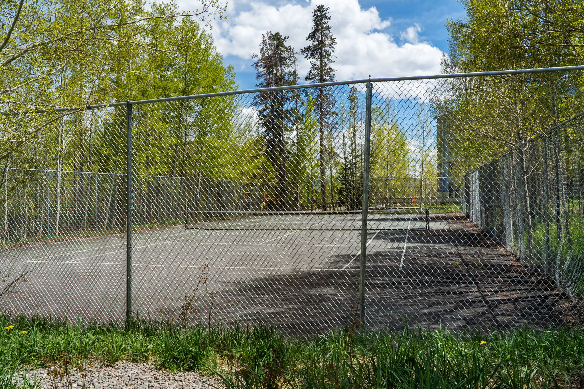  8100 Ryan Gulch Road, Wildernest, CO, 80498 - 物件實景