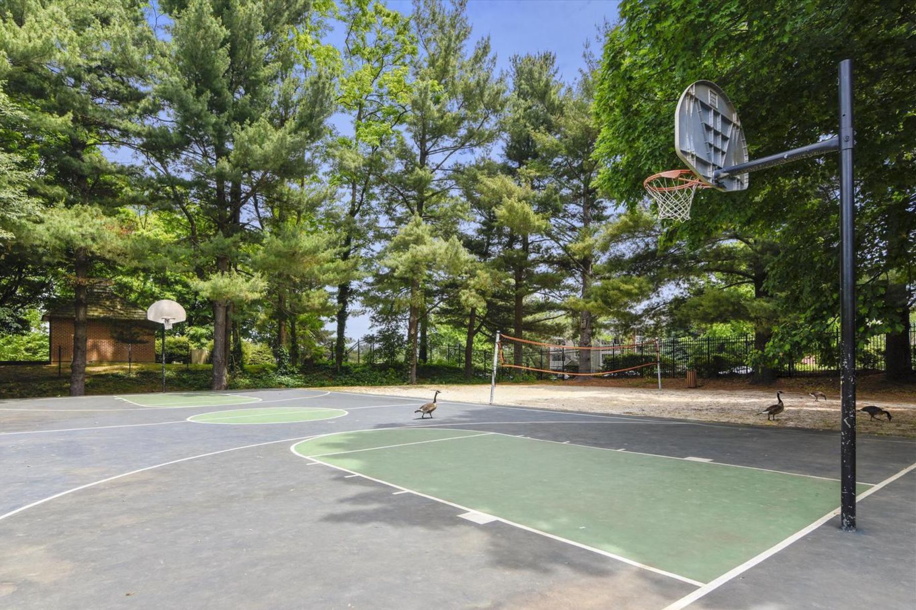  8380 Greensboro Drive, Mclean, VA, 22102 - 物件實景