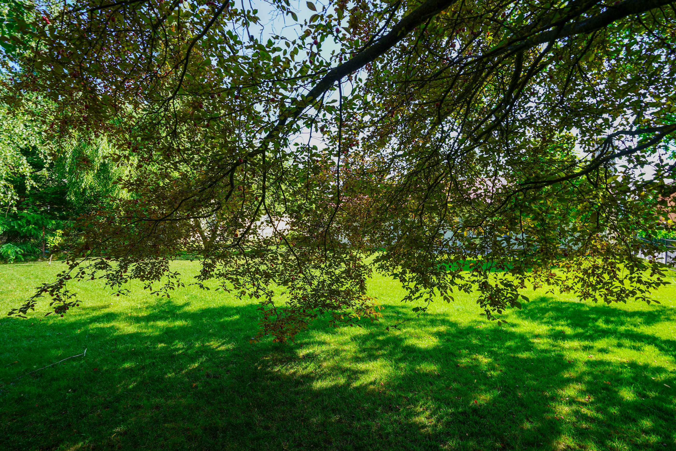  Villa on an Exceptional Plot in the Heart of Paradisul Verde, Corbeanca - 物件實景