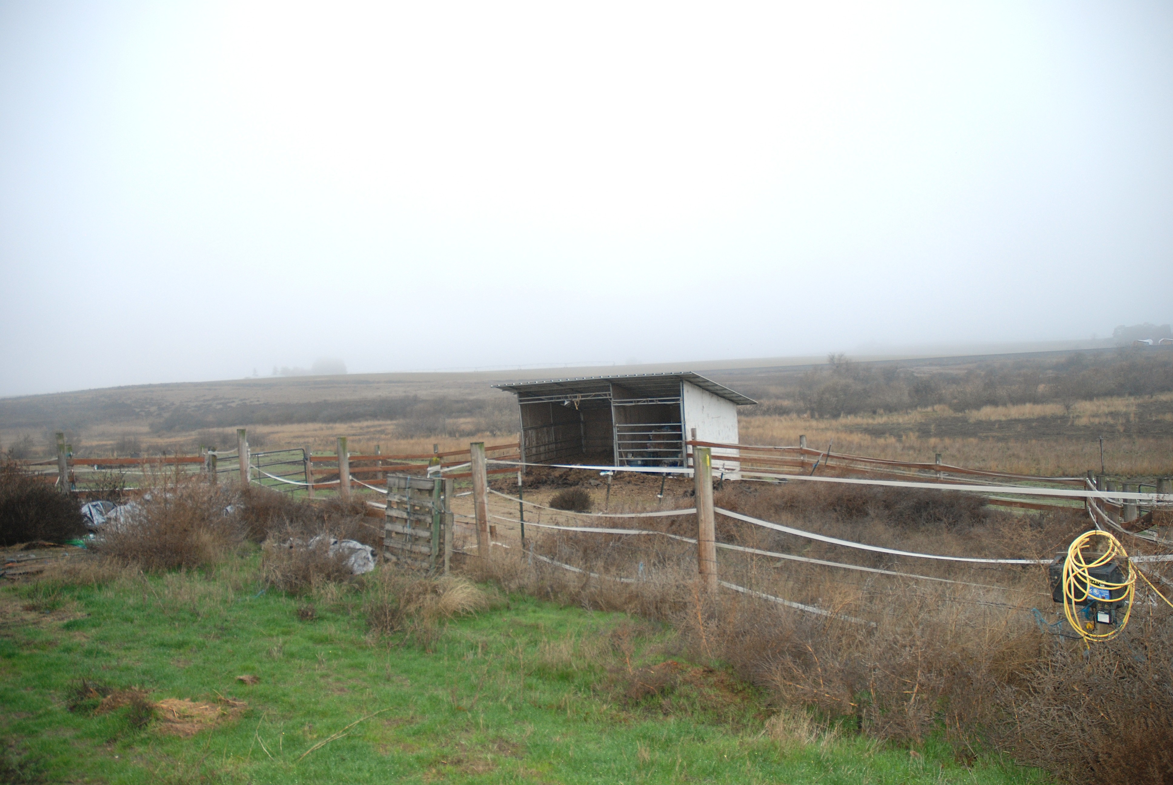 Warden, Washington, 98857, United States, 4 Bedrooms Bedrooms, ,1 BathroomBathrooms,Residential,For Sale,2006383