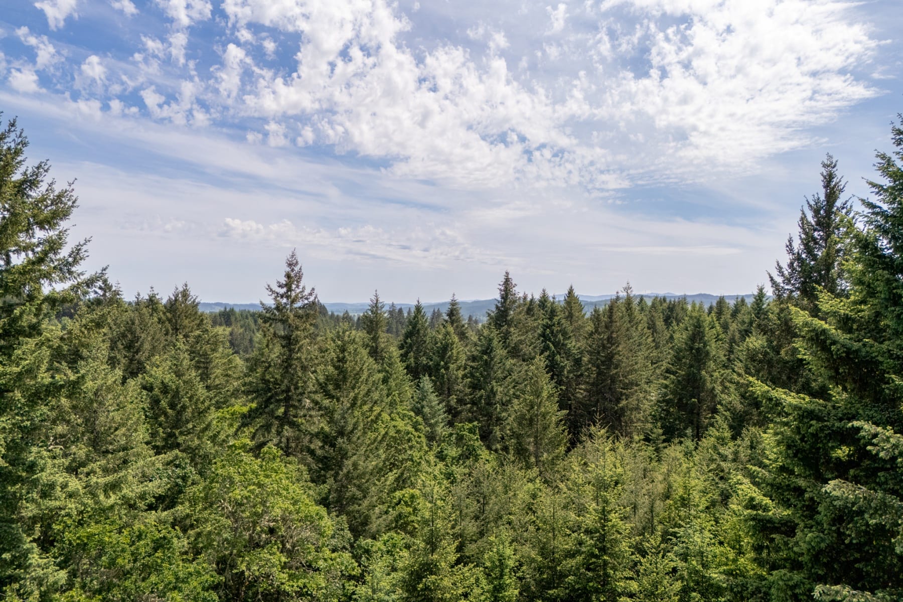  18940 CANYON VIEW LN Dallas, OR 97338 - 物件實景