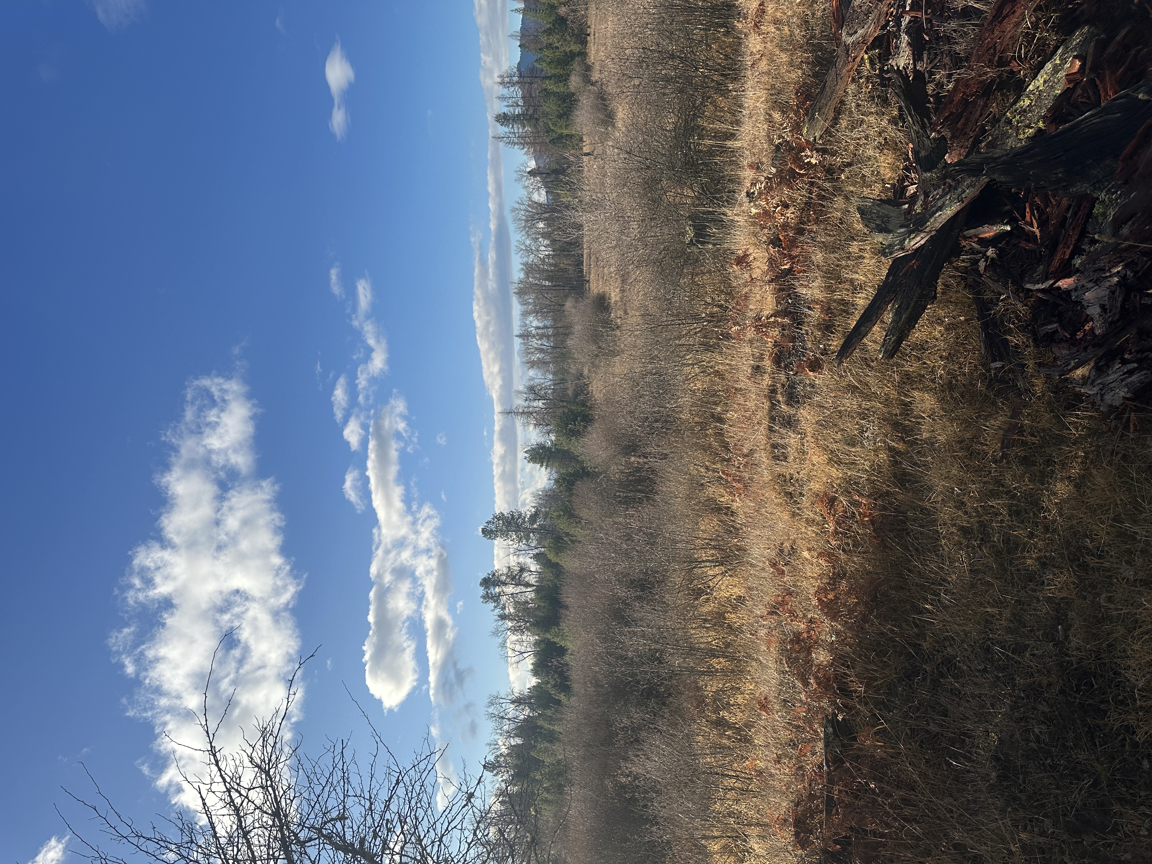 Priest River, Idaho, 83856, United States, ,Land,For Sale,2006127