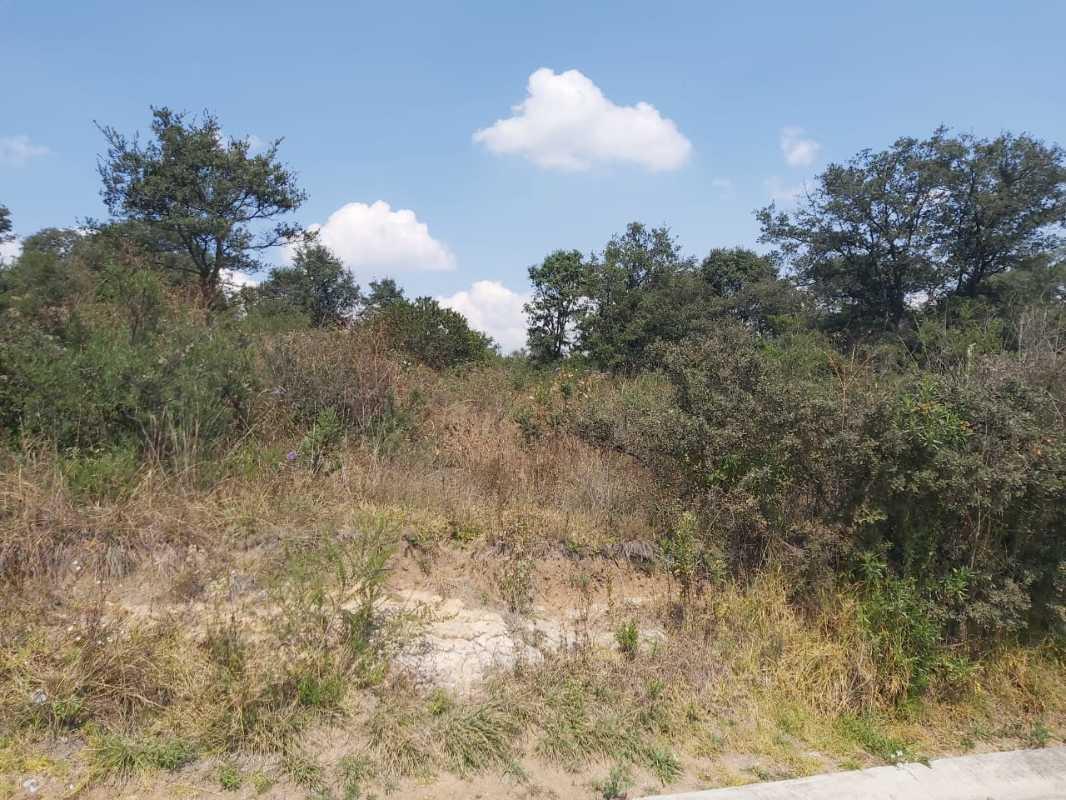 San Luis Retorno El Mirador, Atizapán de Zaragoza, Estado de México, 52938, Mexico, 1 Bedroom Bedrooms, ,Residential,For Sale,San Luis Retorno El Mirador,1616222