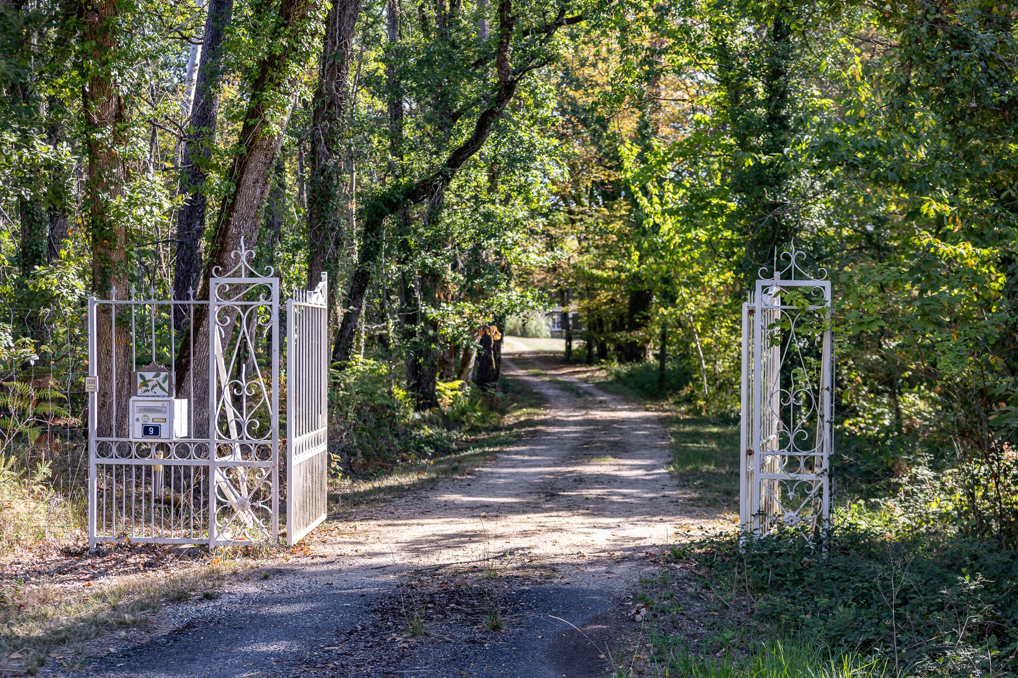  Property of 700m² with swimming pool, tennis court, ponds over more than 40 hec… - 物件實景