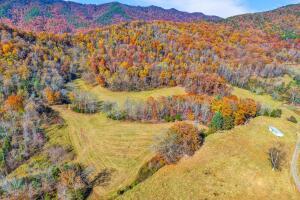 Fincastle, Virginia, 24090, United States, ,Residential,For Sale,1989448