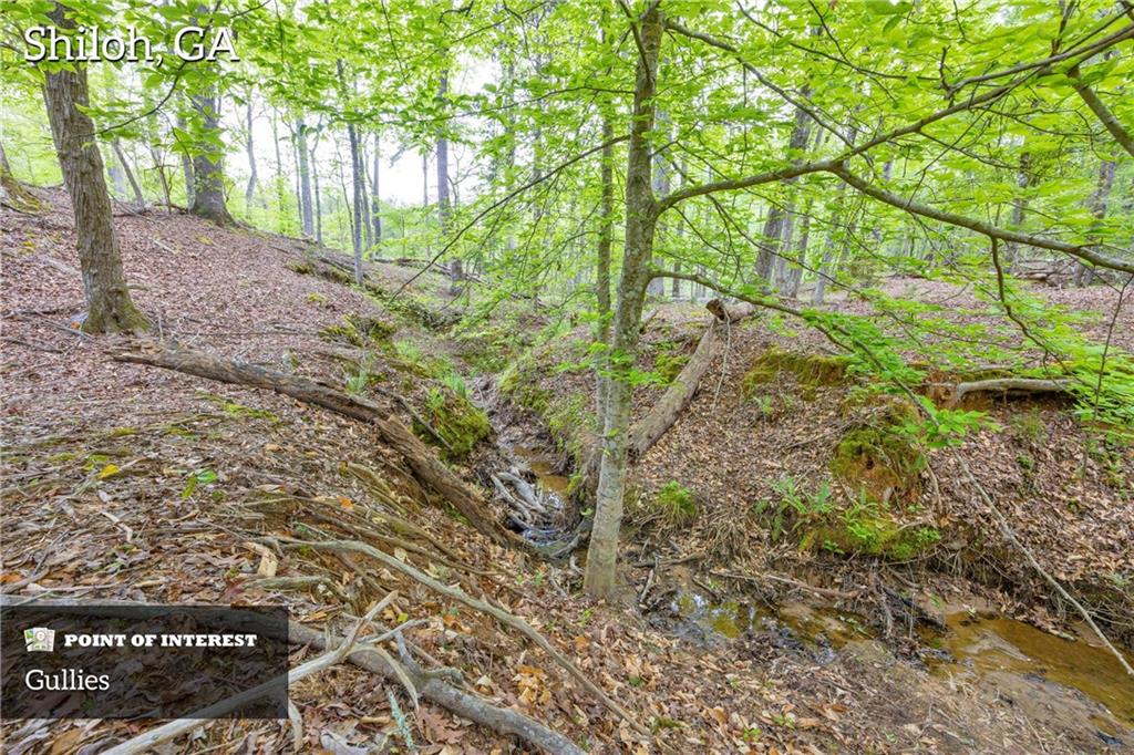 Shiloh, Georgia, 31826, United States, 3 Bedrooms Bedrooms, ,1 BathroomBathrooms,Land,For Sale,1974369