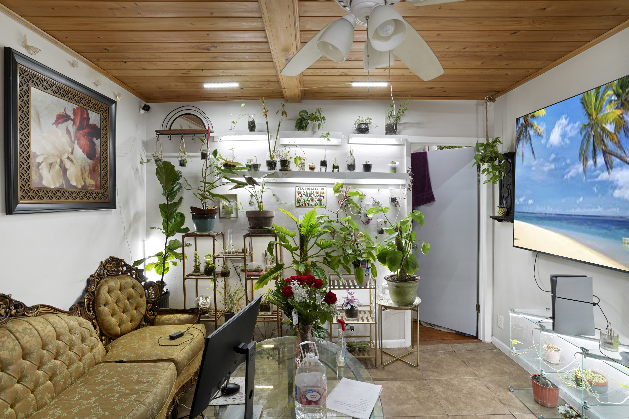  208 San Marco Ave, St Augustine, FL, 32084 - 物件實景