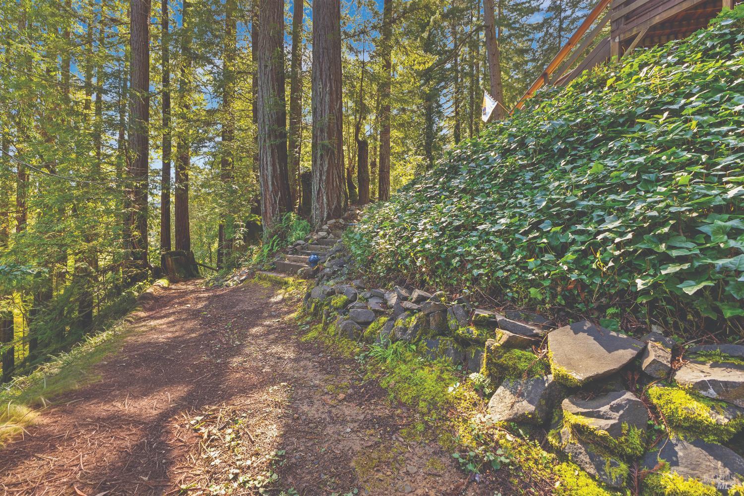 Monte Rio, California, 95462, United States, 1 Bedroom Bedrooms, ,2 BathroomsBathrooms,Residential,For Sale,2025033